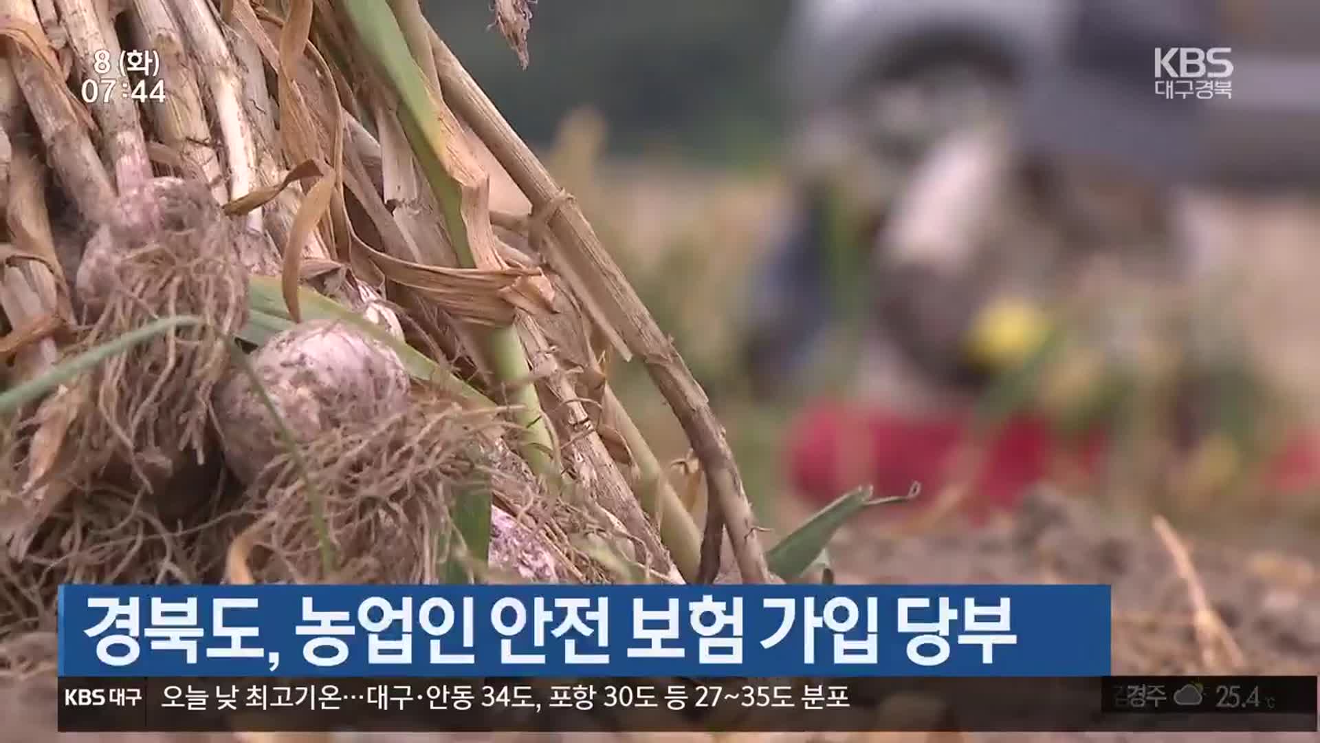 경북도, 농업인 안전 보험 가입 당부