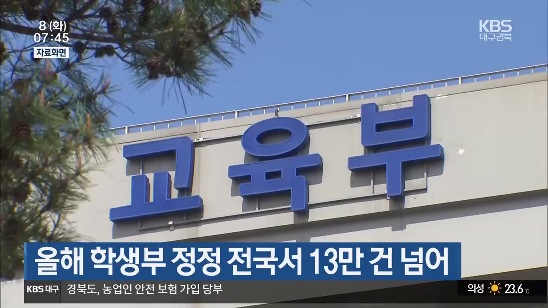 올해 학생부 정정 전국서 13만 건 넘어