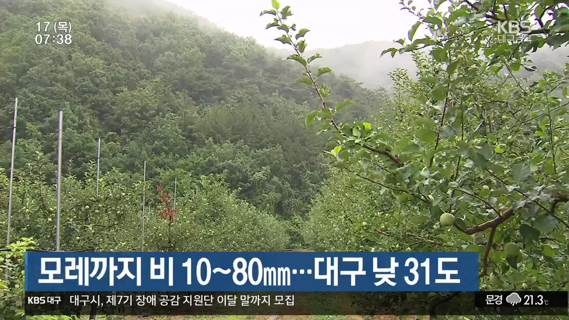 대구·경북 모레까지 비 10~80mm…대구 낮 31도