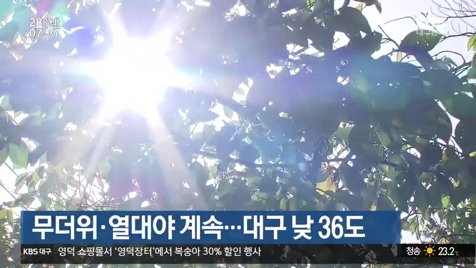 대구·경북 무더위·열대야 계속…대구 낮 36도