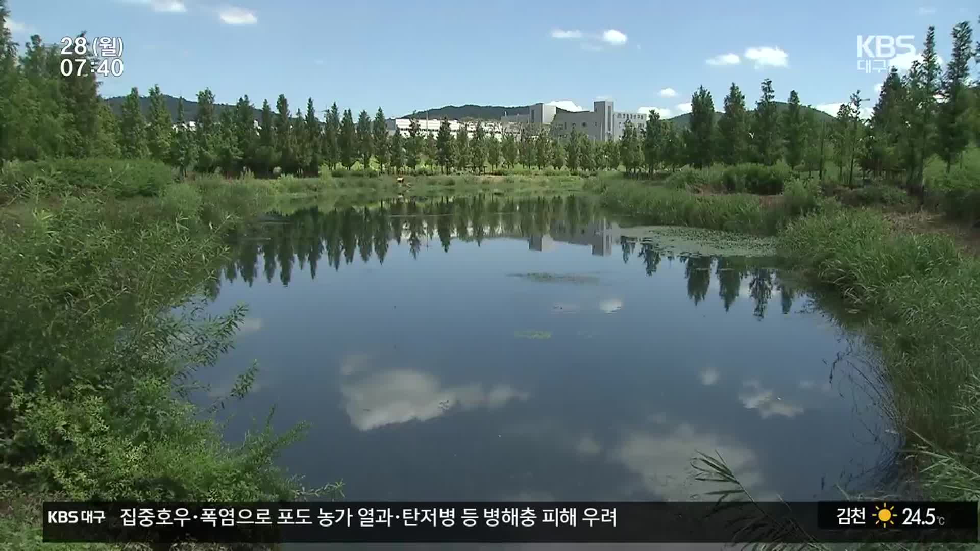 대구 ‘지방정원 1호’ 탄생…정원 문화 확산할까