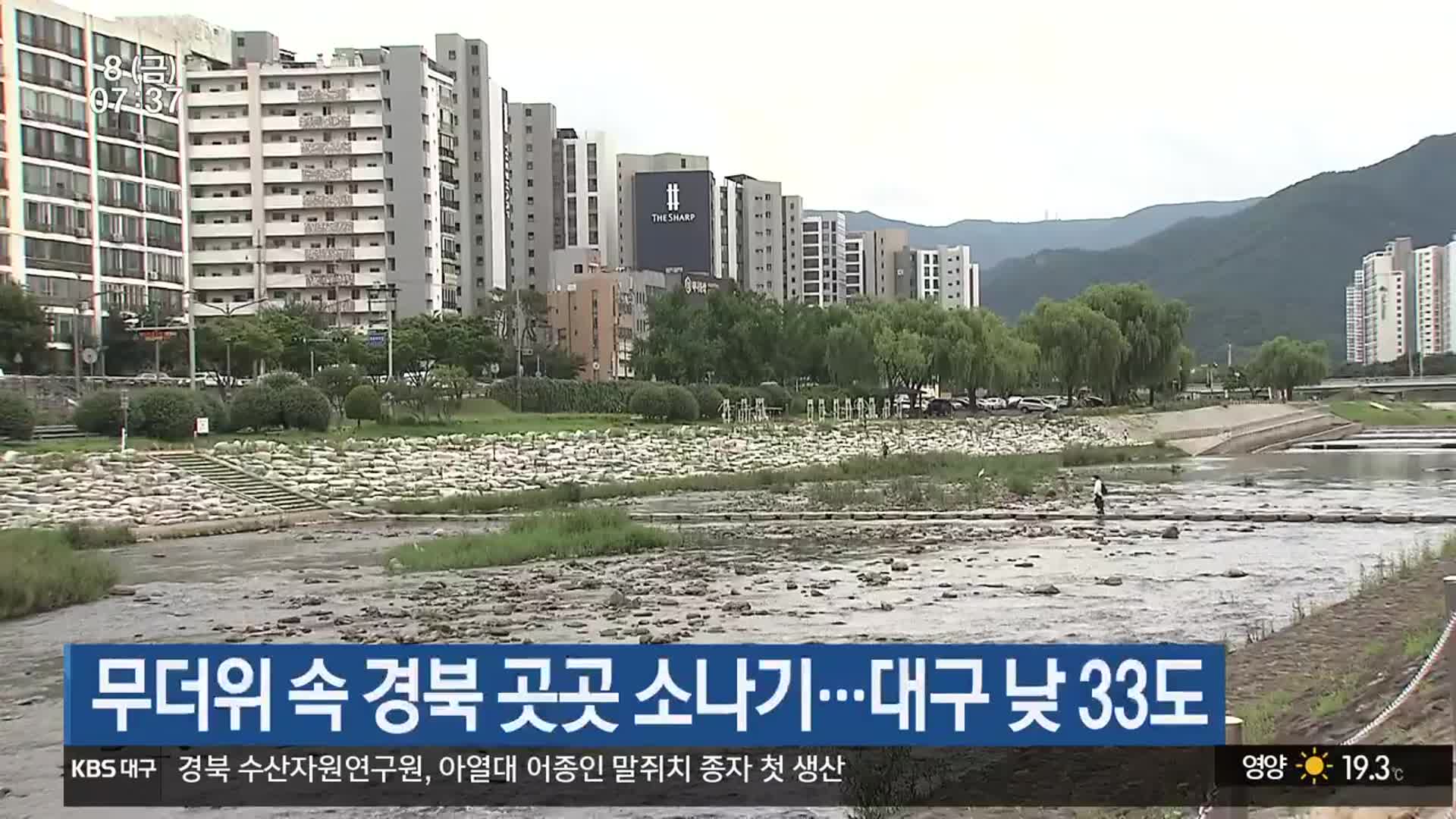 무더위 속 경북 곳곳 소나기…대구 낮 33도