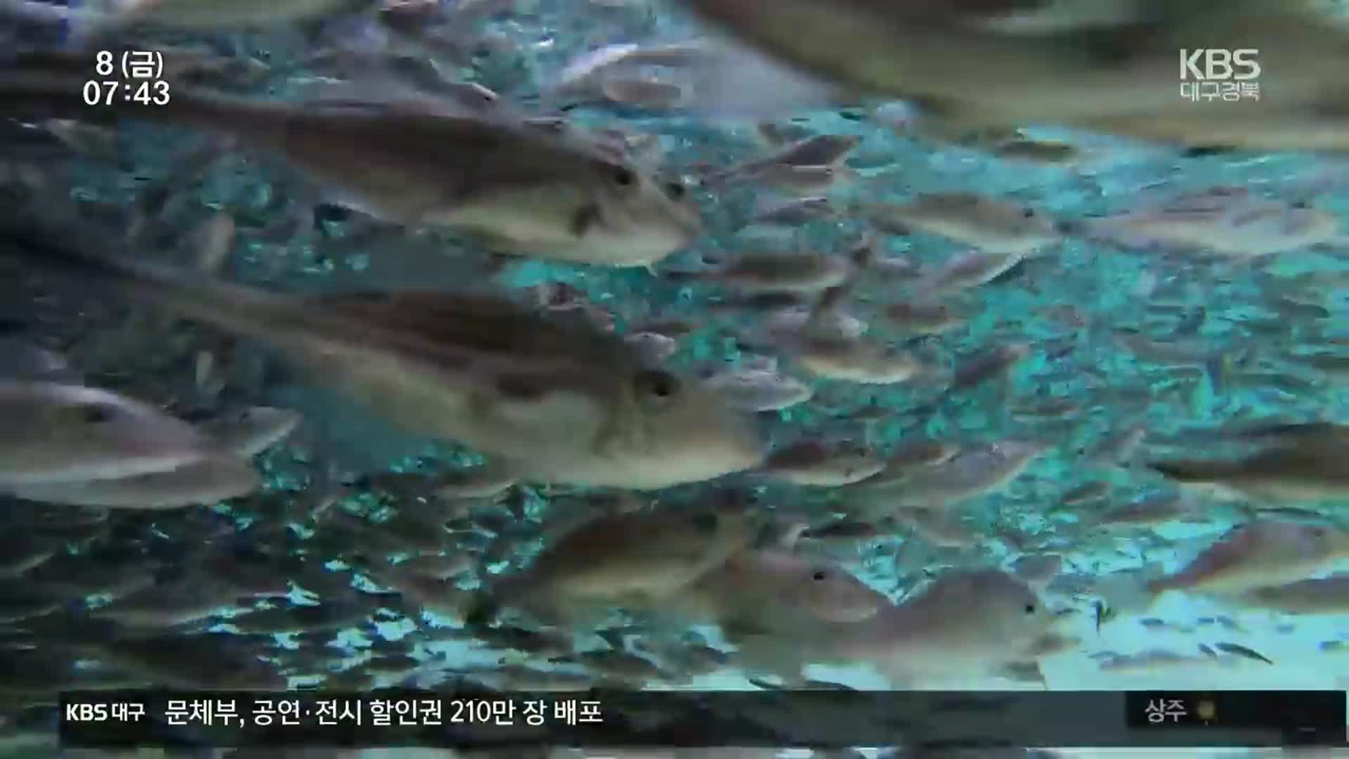 ‘더운 바다서도 생존’…고수온 적합 어종 키운다