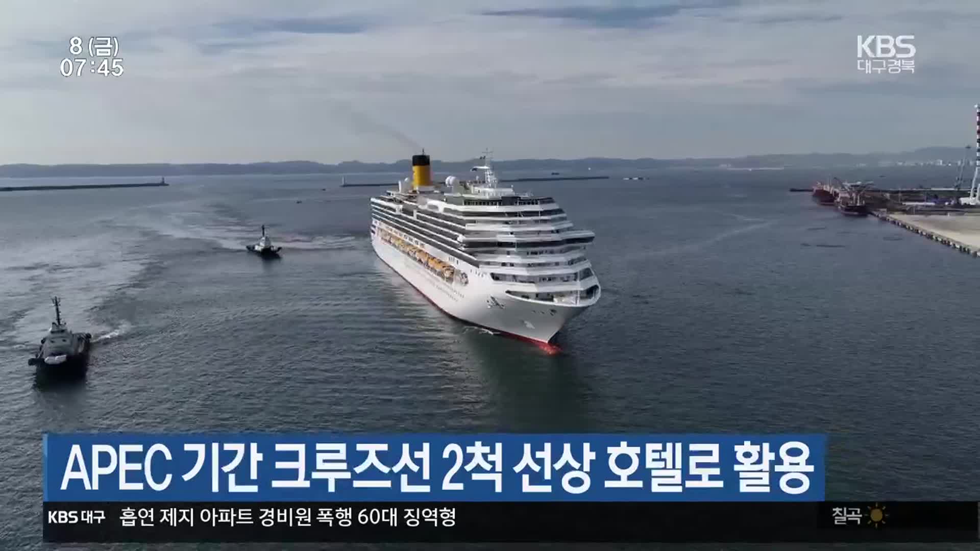 APEC 기간 크루즈선 2척 선상호텔로 활용