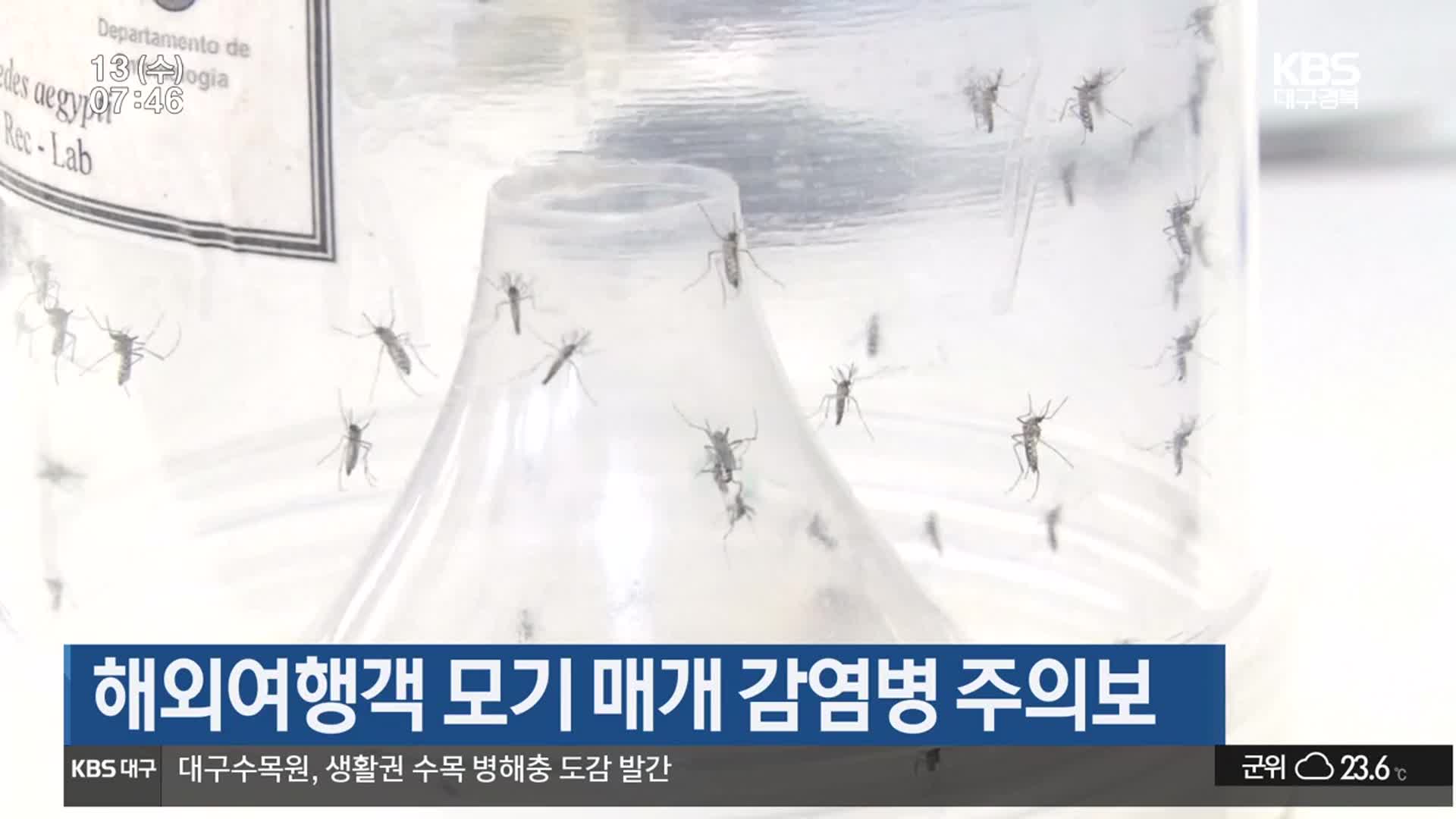 해외여행객 모기 매개 감염병 주의보