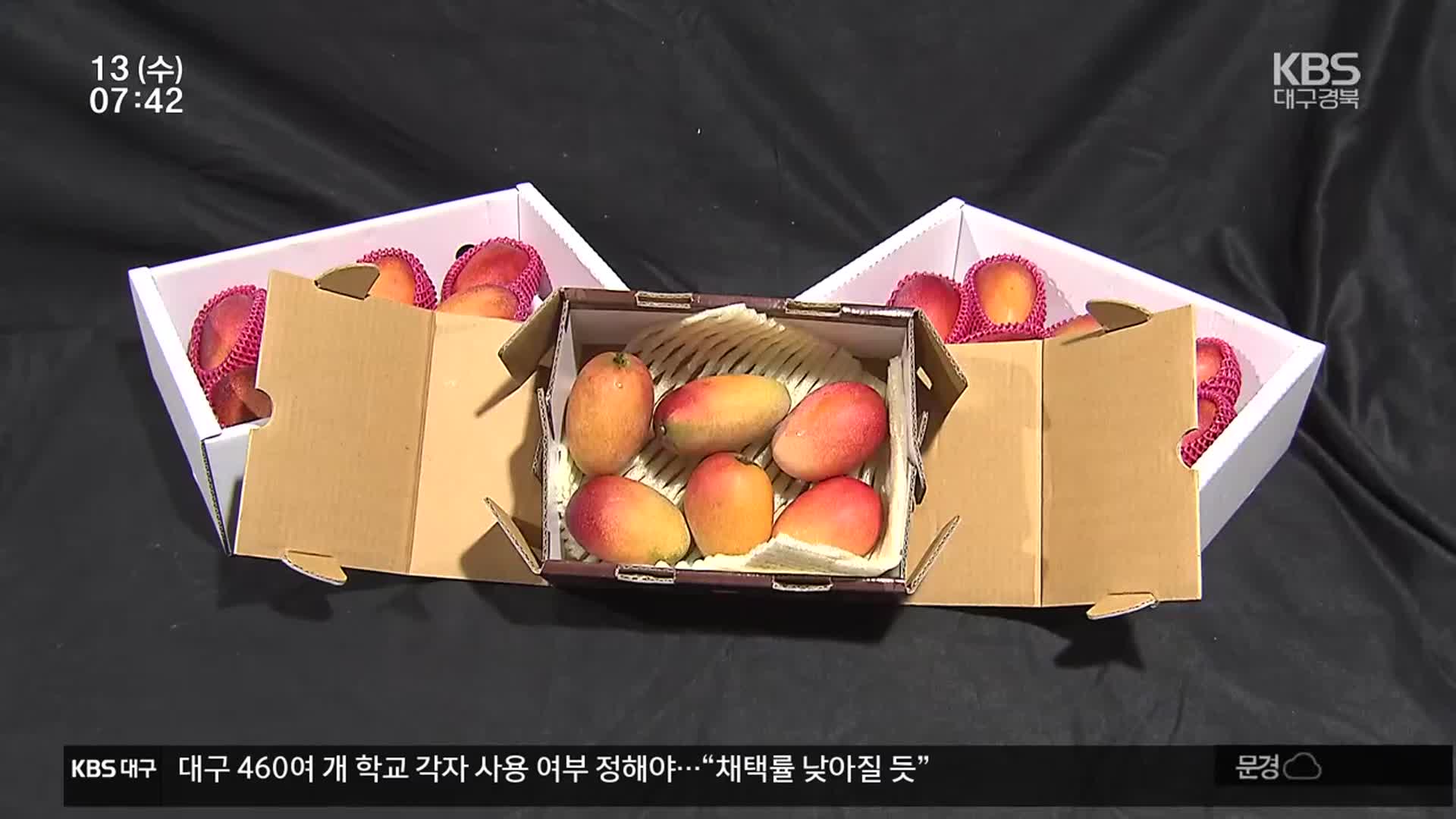 이상 기후 가속화…아열대 작물 전환 ‘속도’