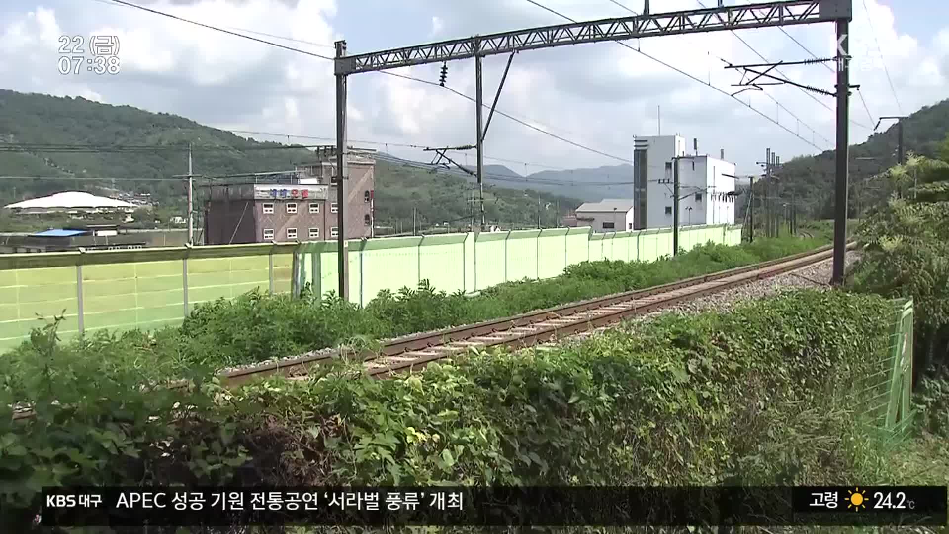 수풀 제거 매뉴얼 못 지켜…피할 곳 없었다