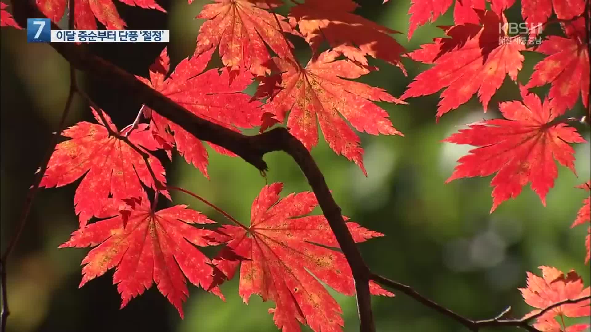 설악산 첫 얼음 관측…이달 중순 ‘단풍’ 절정