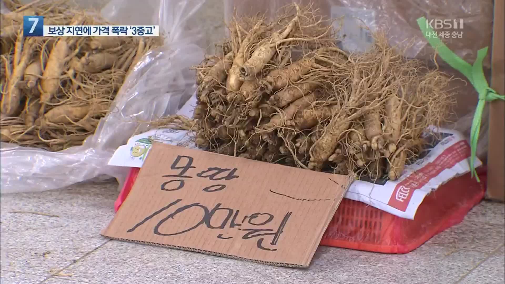 금산 인삼 농가 ‘3중고’…피해 보상도 ‘막막’