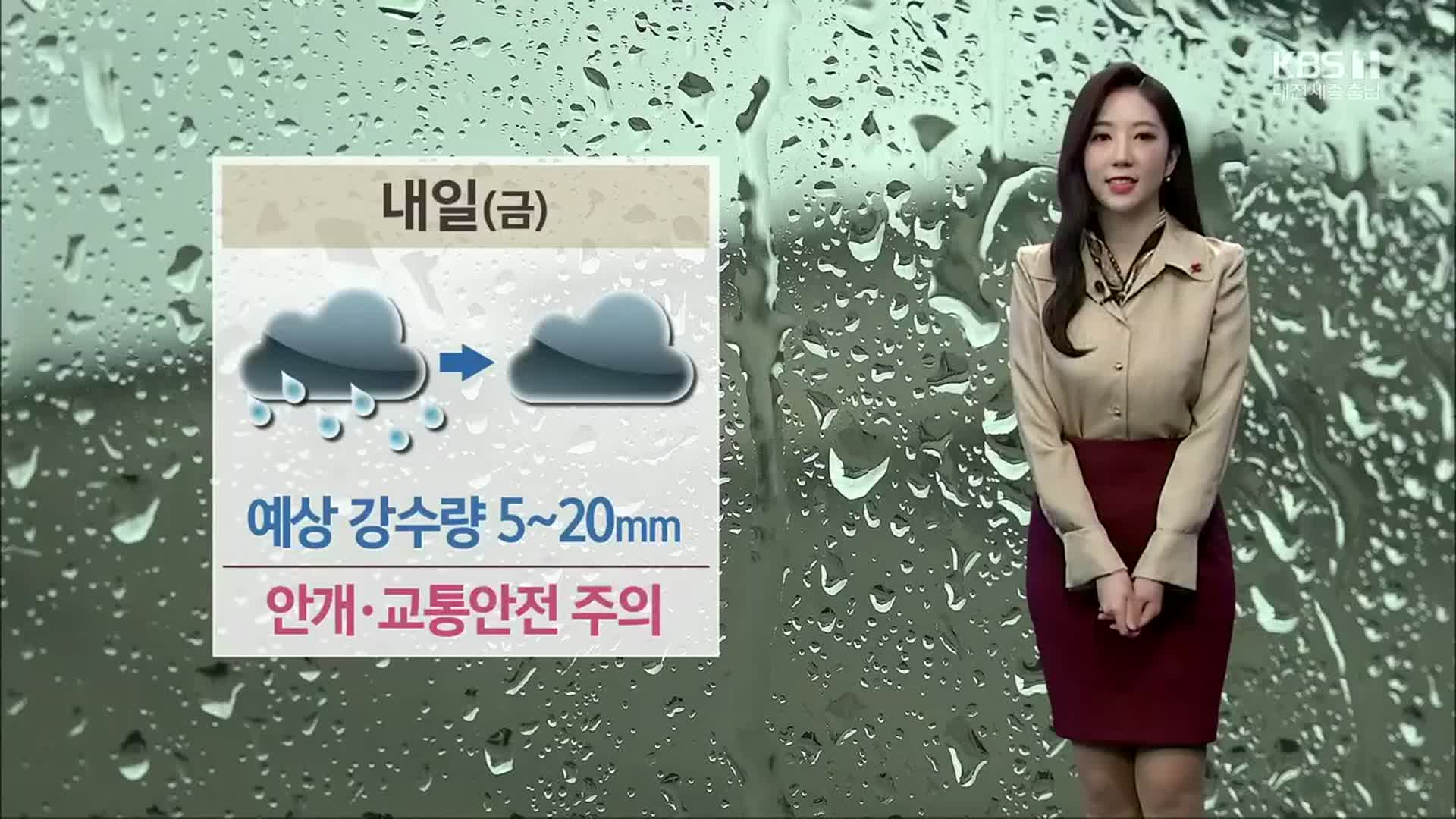 [날씨] 대전·세종·충남 흐리고 비…예상 강수량 5~20mm