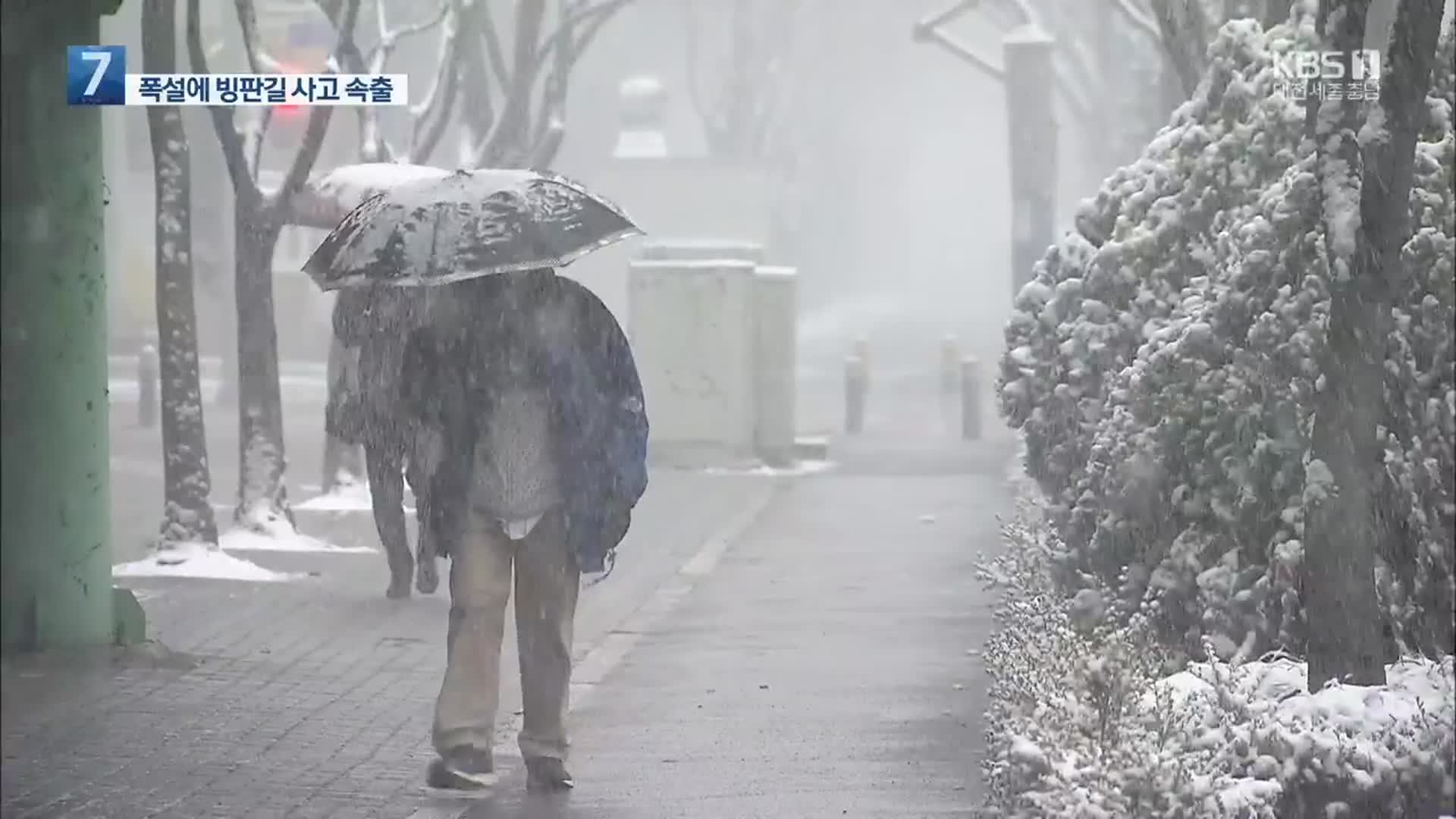 대전·세종·충남 전 지역 대설특보…보령 15.5cm