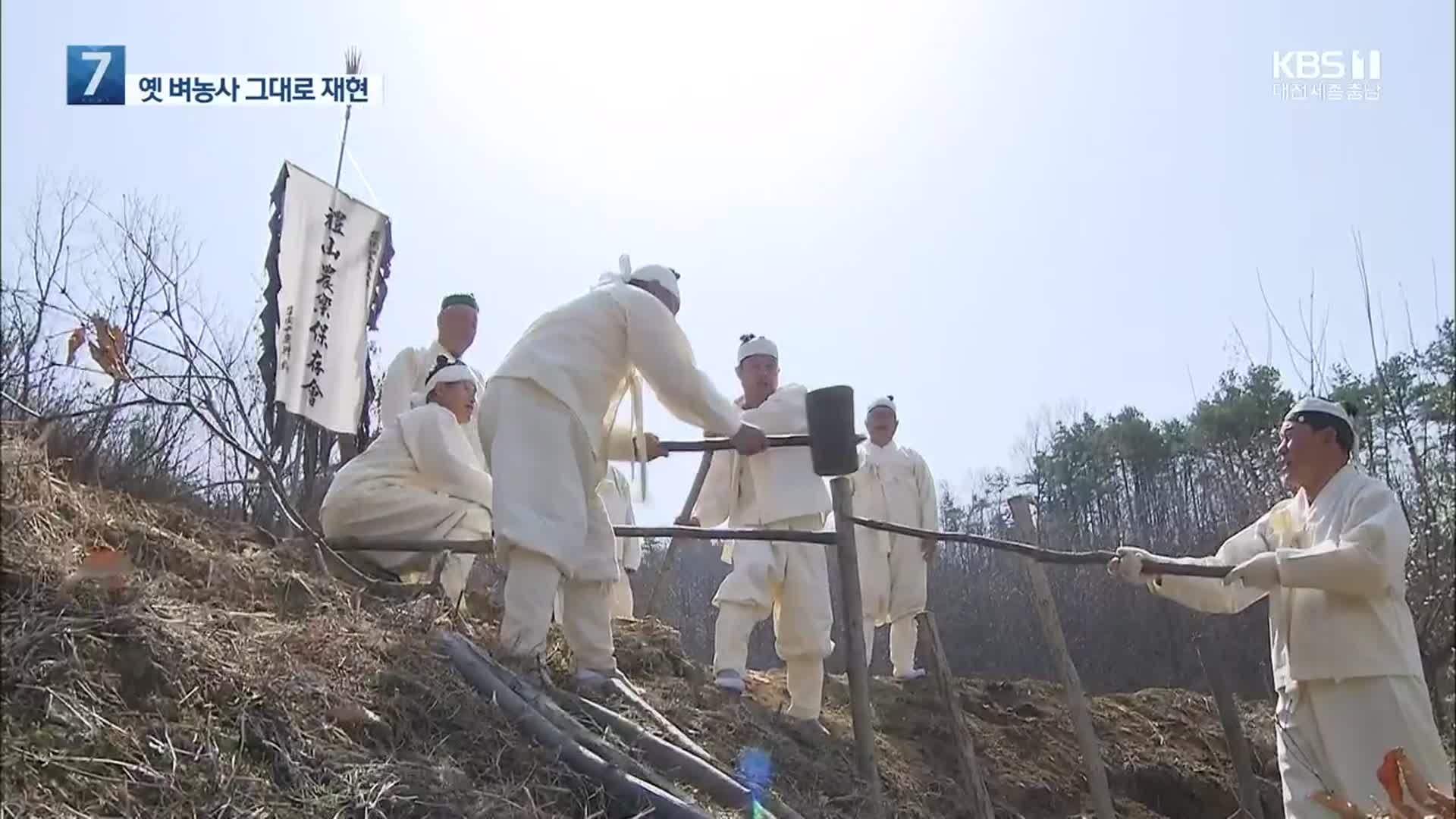 사라진 전통농법 재현…“느리지만 흥겹다”