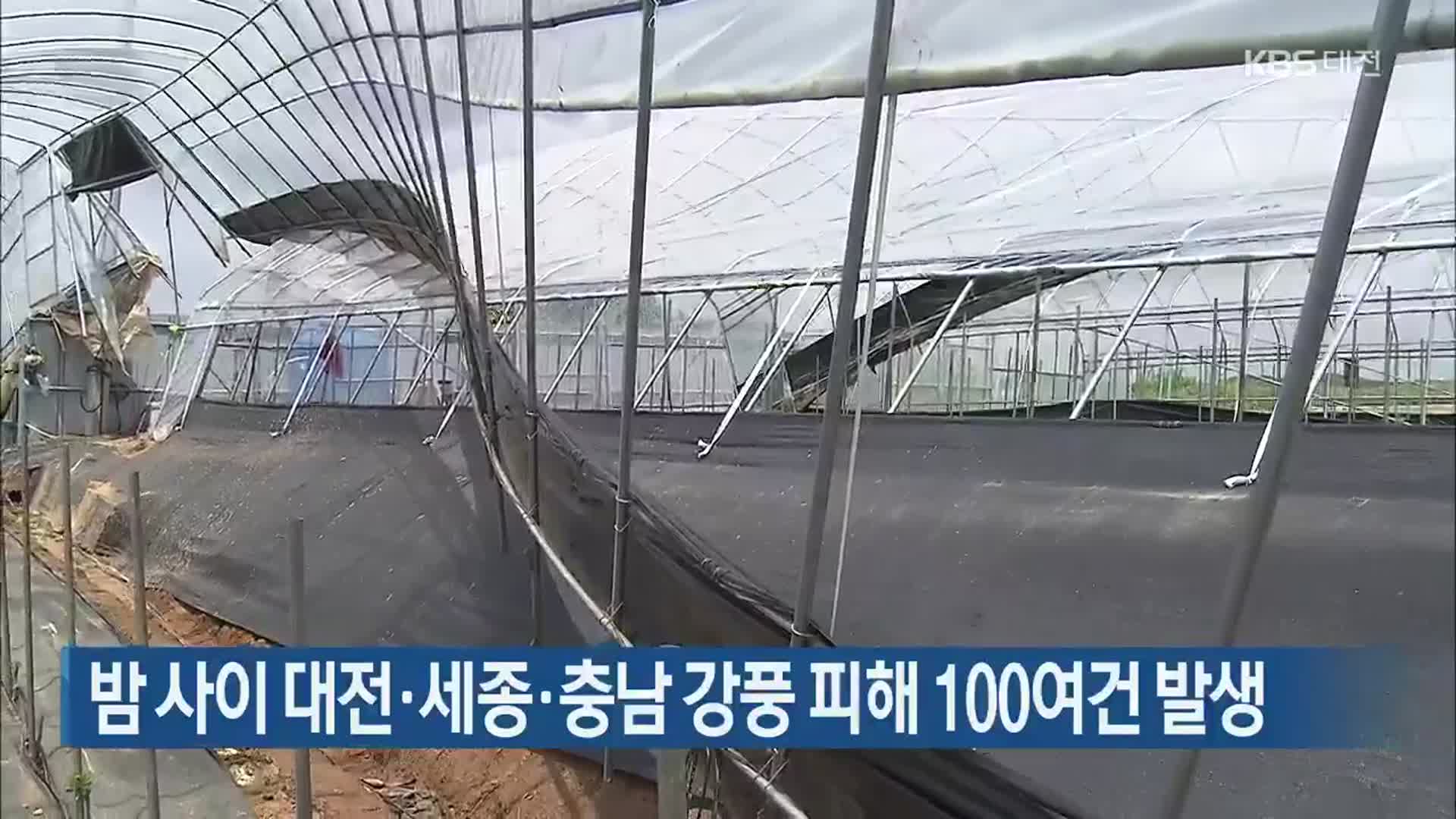 밤 사이 대전·세종·충남 강풍 피해 100여 건 발생