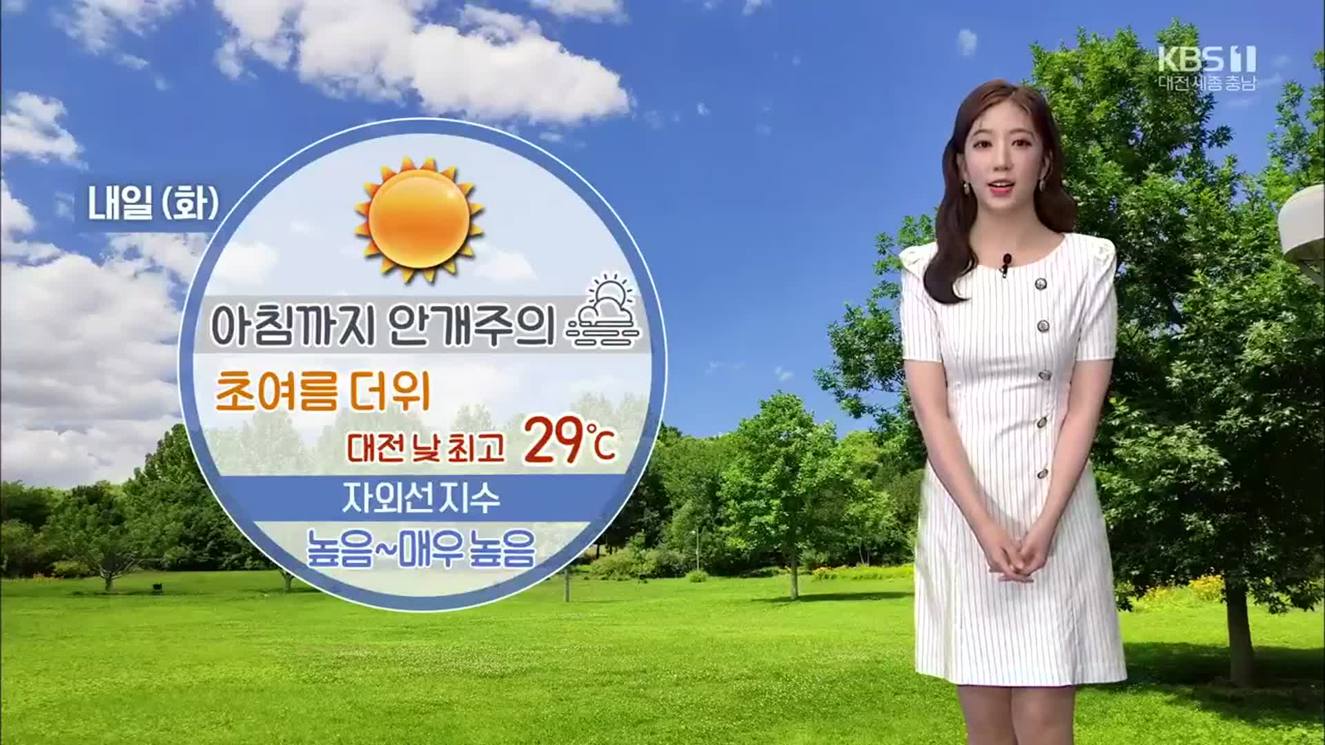 [날씨] 대전·세종·충남 내일 초여름 날씨…낮 최고 28~29도