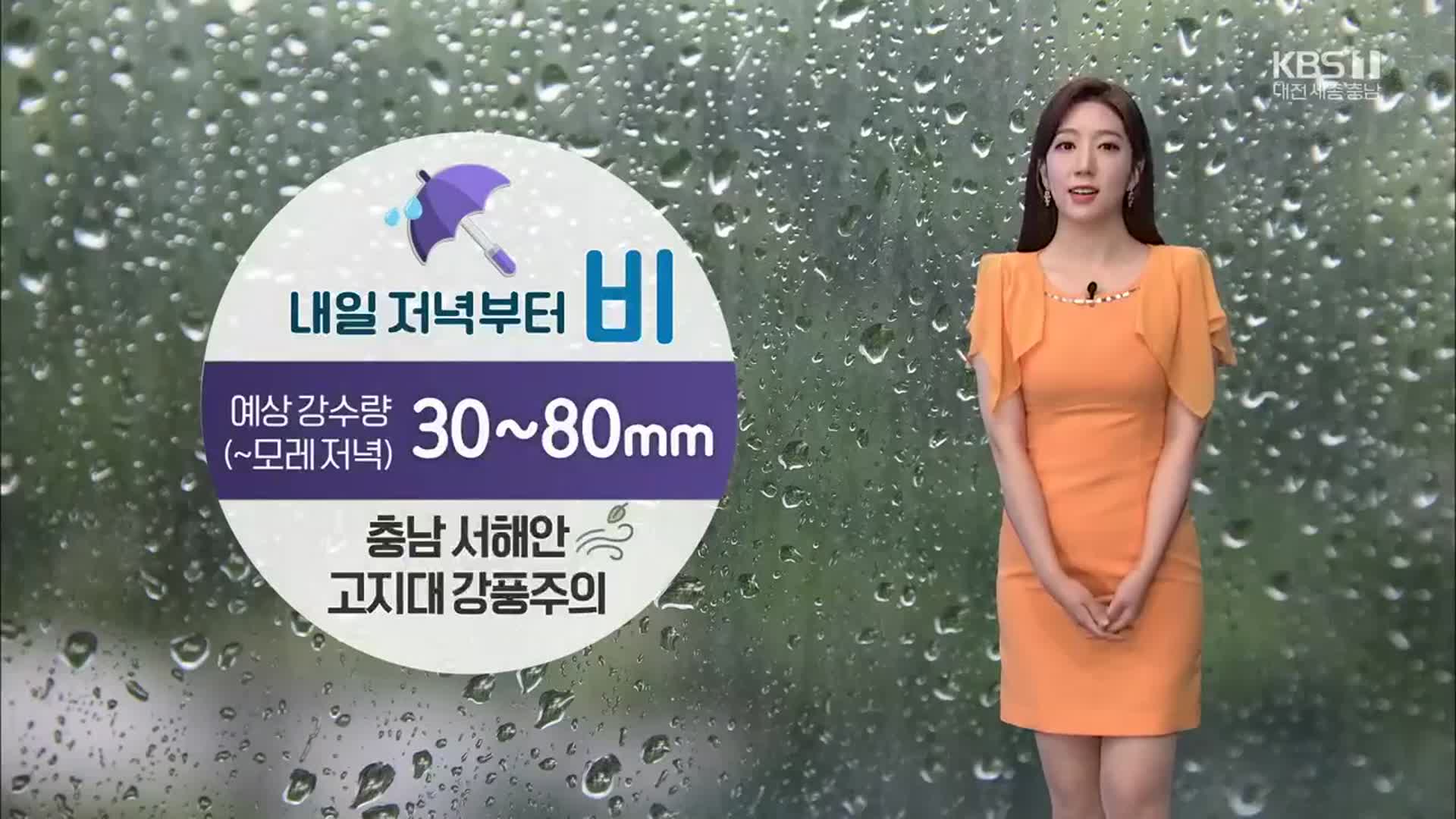 [날씨] 대전·세종·충남 내일 저녁부터 비…고지대 ‘강풍 주의’