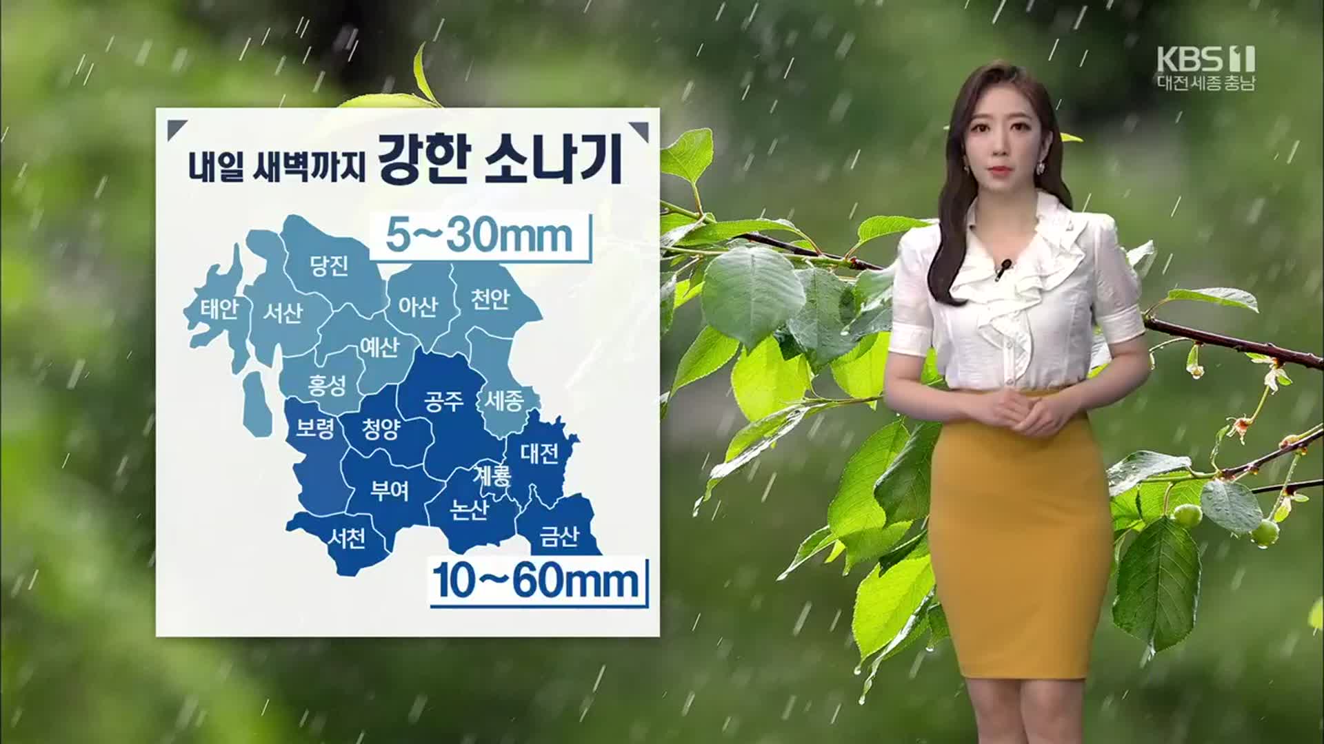 [날씨] 대전·세종·충남 내일 새벽까지 ‘강한 소나기’…천둥·번개·우박 유의