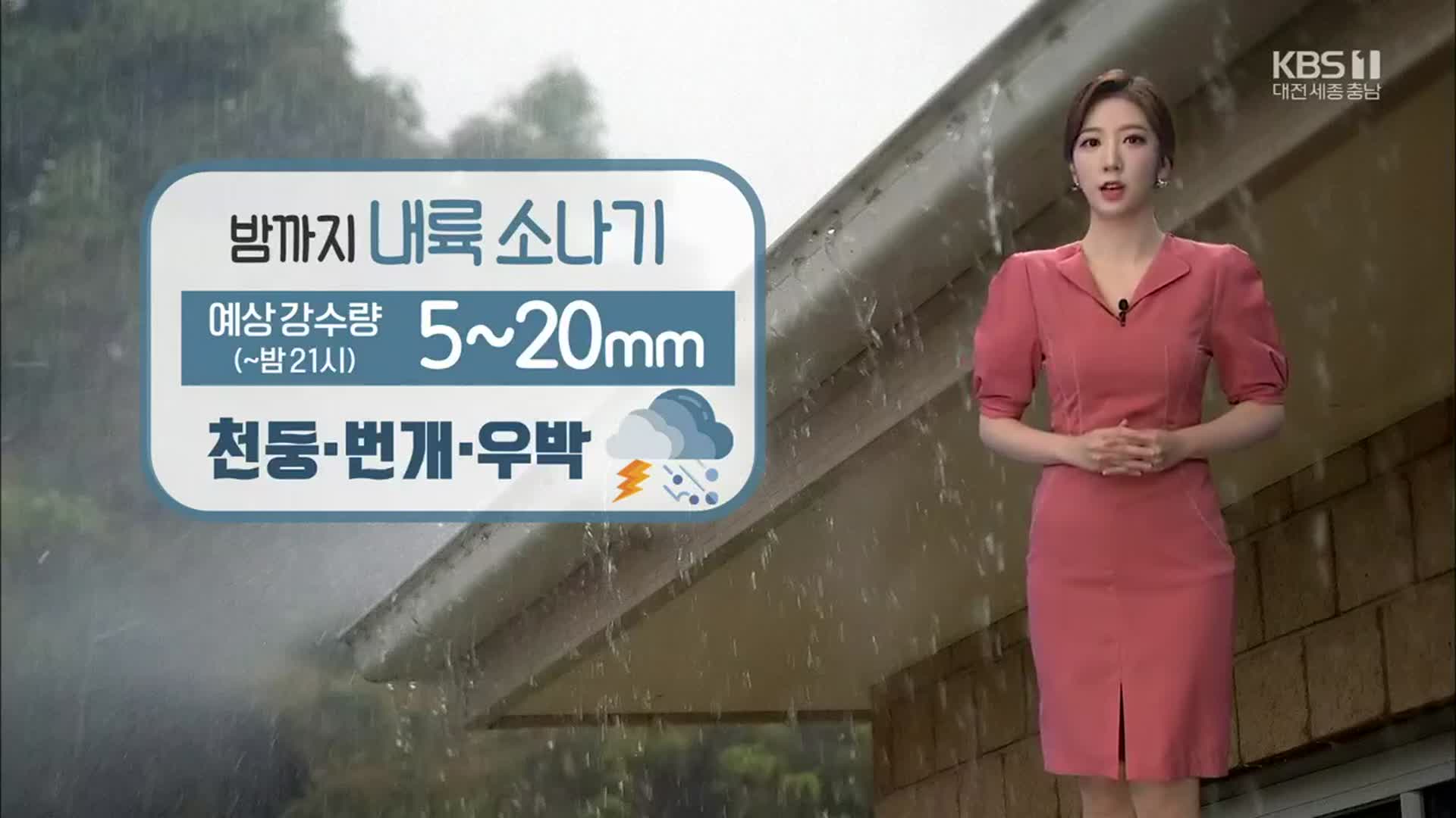 [날씨] 대전·세종·충남, 천둥·번개·우박 동반…소나기 계속