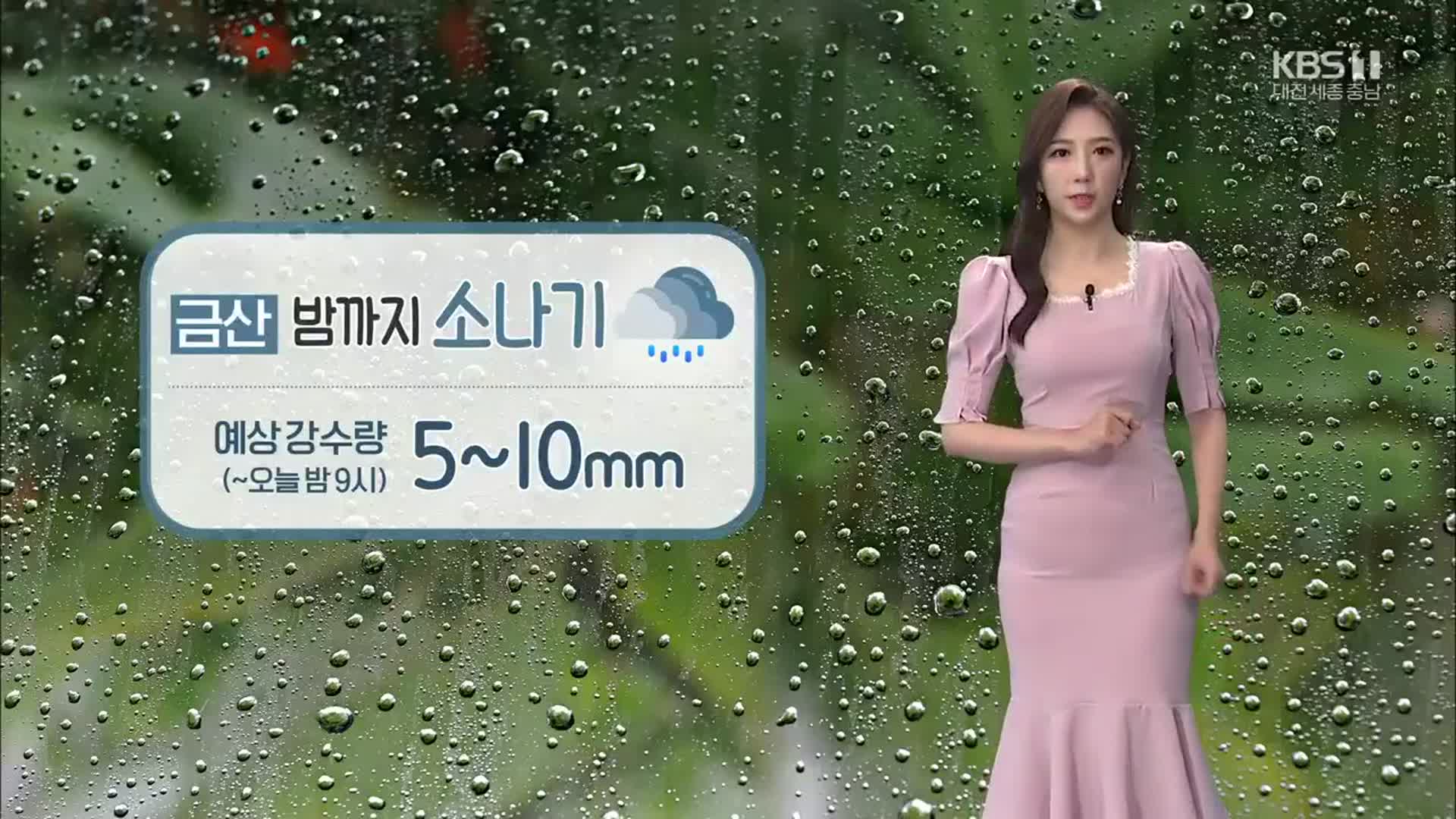 [날씨] 금산 밤까지 ‘소나기’ 예상 강수량 5-10mm 