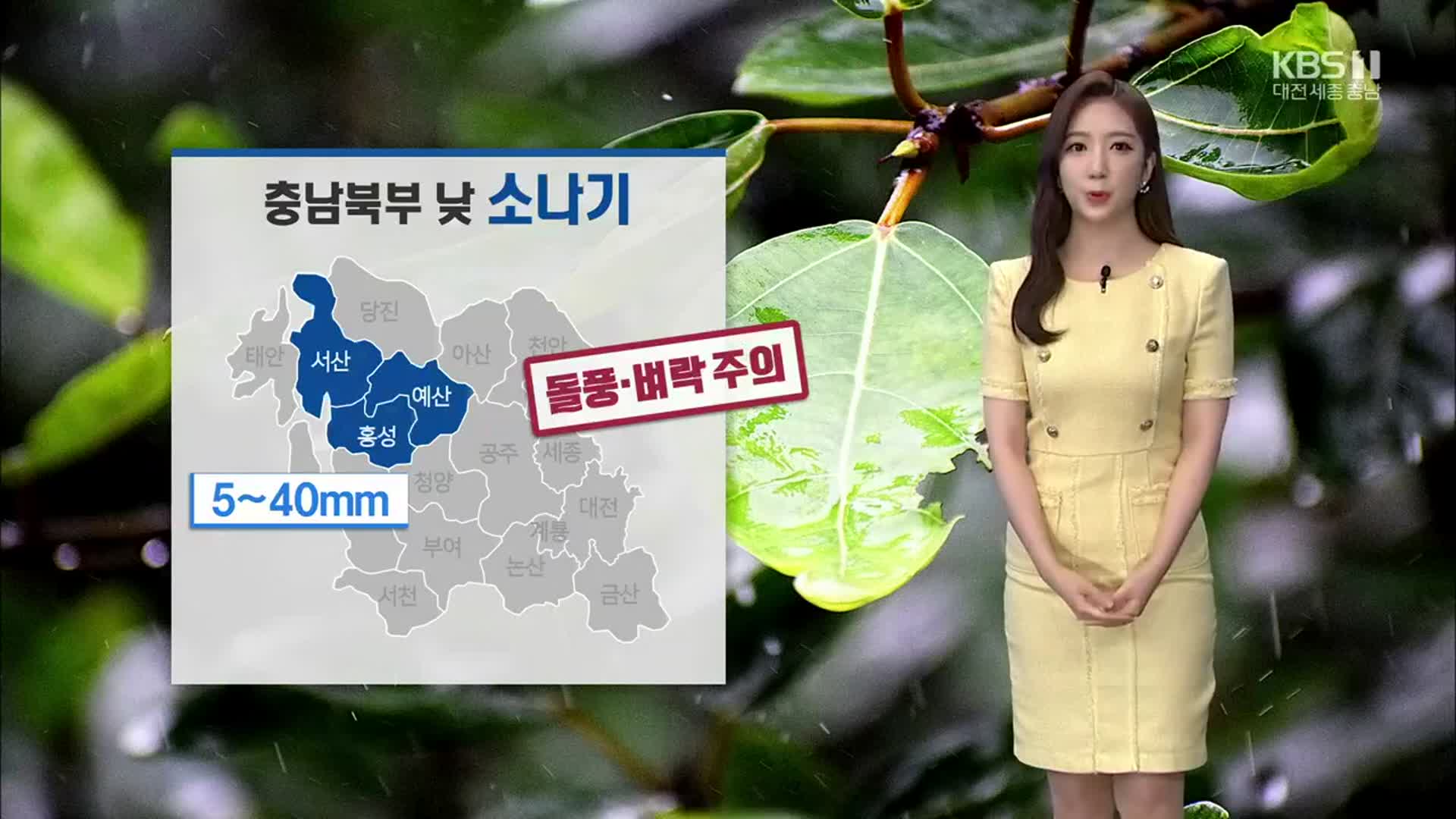 [날씨] 대전·세종·충남 내일 낮 32도 안팎…자외선 지수, 오존 농도 높아