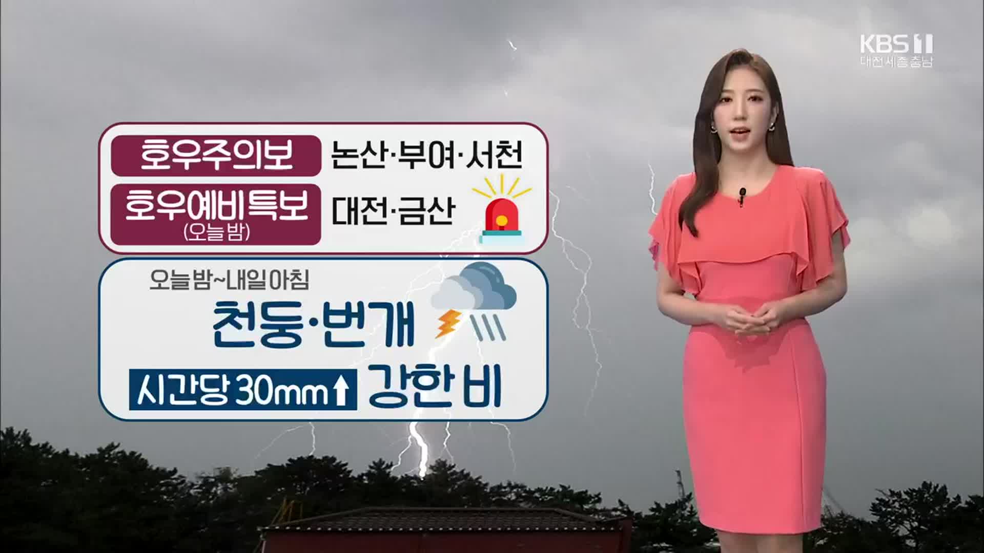 [날씨] 논산·부여·서천 ‘호우주의보’…밤부터 시간당 30㎜↑ 강한 비