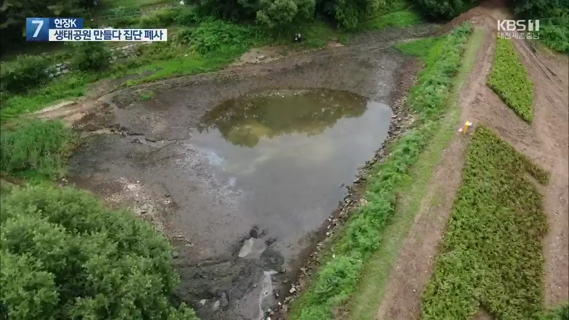 [단독/현장K] 소형 저수지에 생태공원 조성한다더니…물고기 등 집단 폐사
