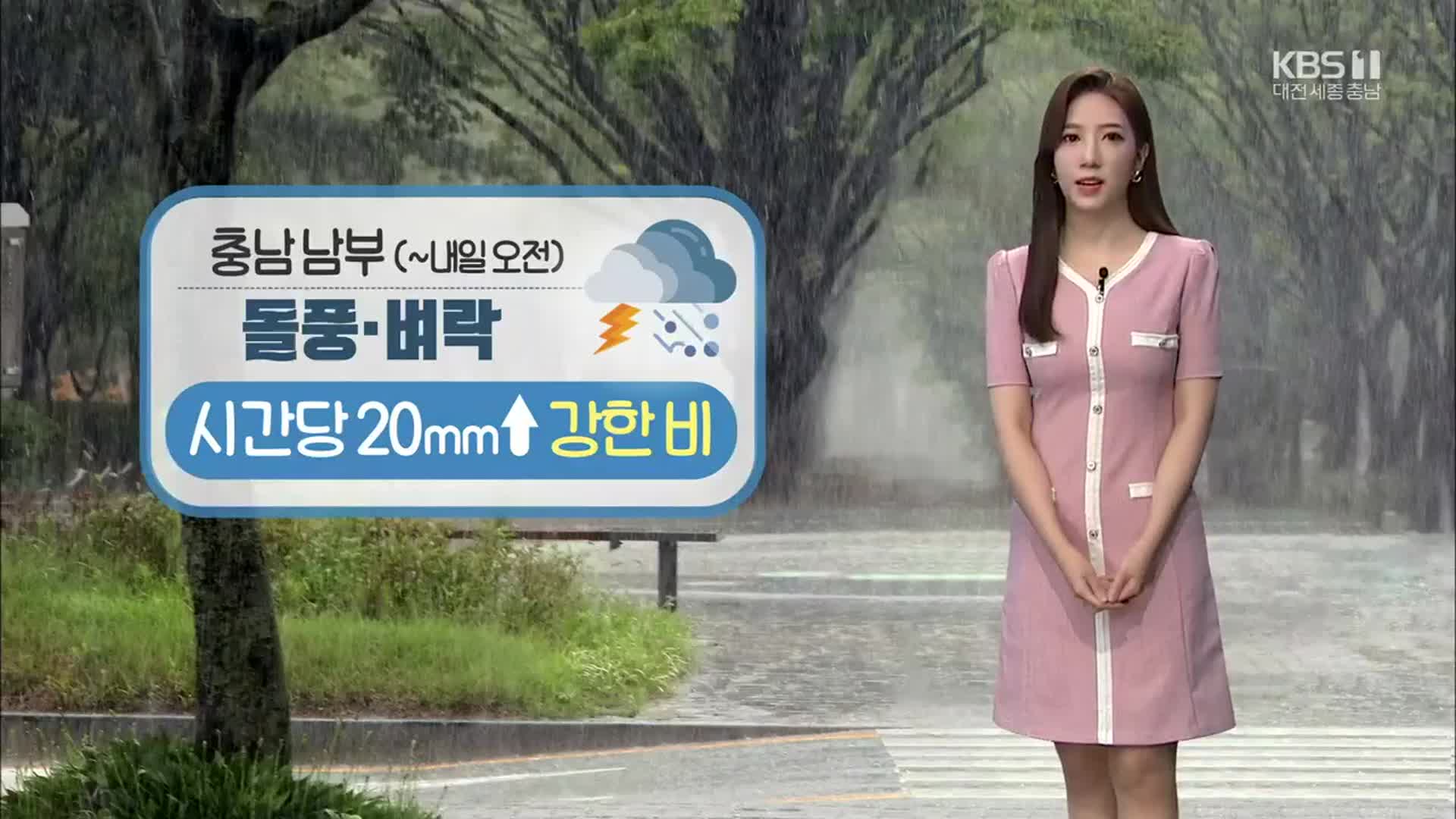 [날씨] 충남 남부 시간 당 20㎜ 이상 ‘강한 비’