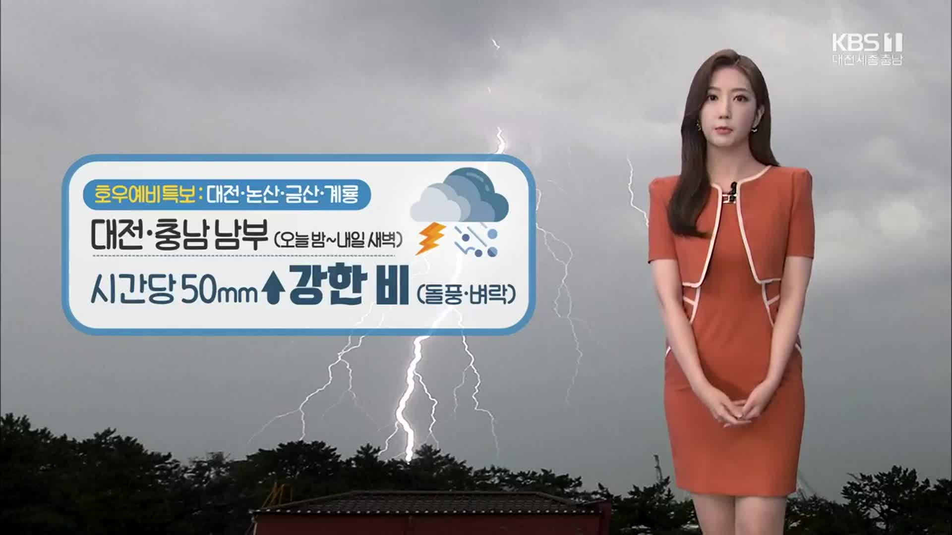 [날씨] 대전·충남 남부 오늘 밤부터 강한 비