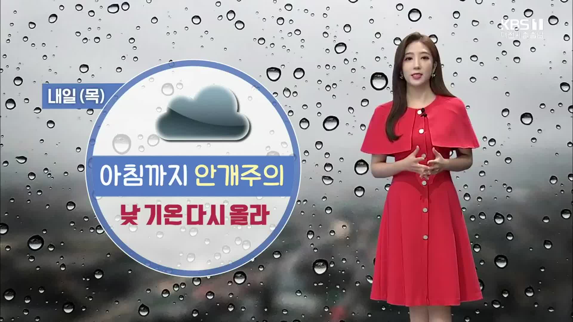 [날씨] 대전·세종·충남 오늘도 비…내일 아침 ‘안개’ 주의