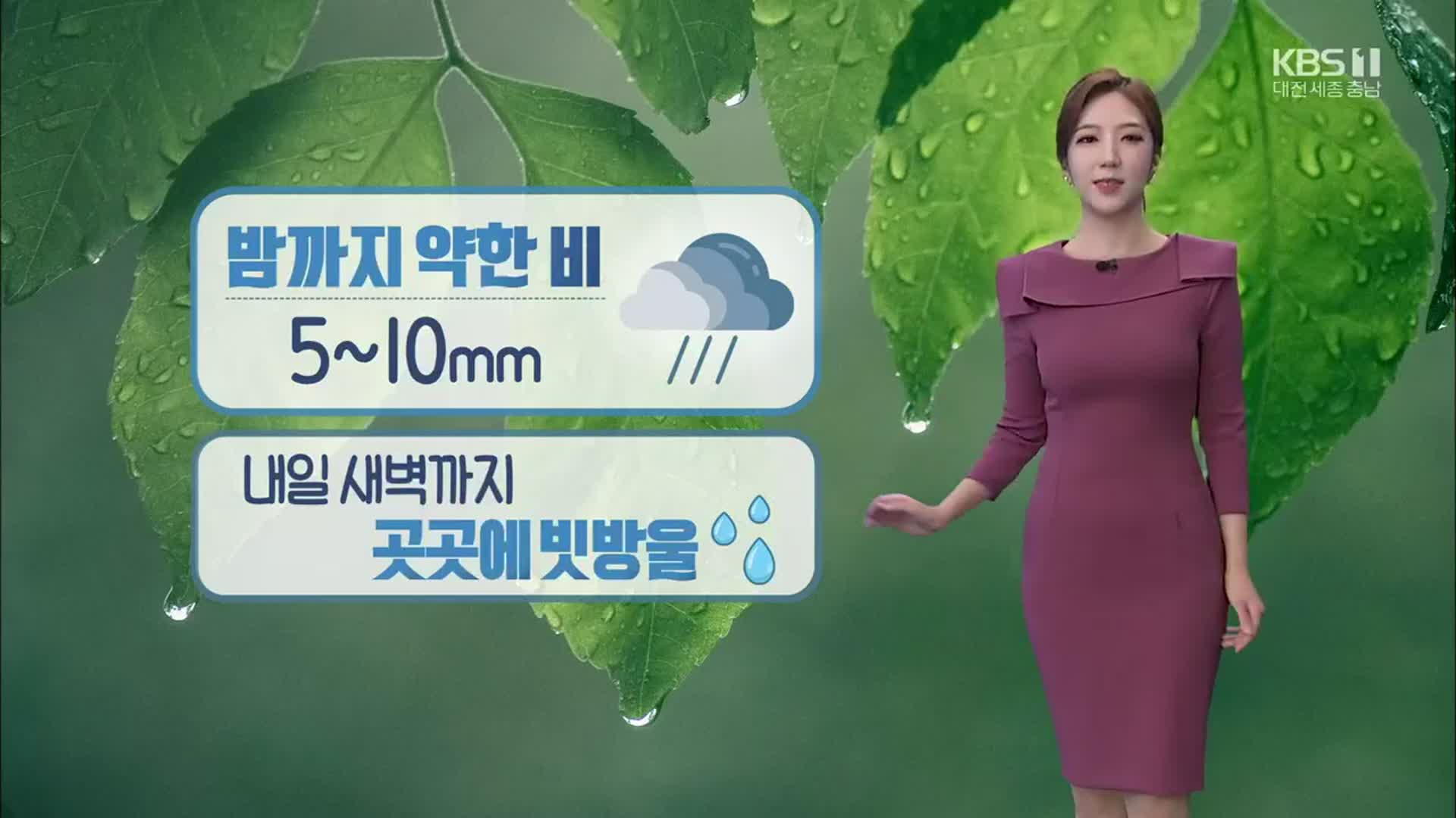 [날씨] 대전·세종·충남 밤까지 약한 비…내일 아침까지 ‘안개’