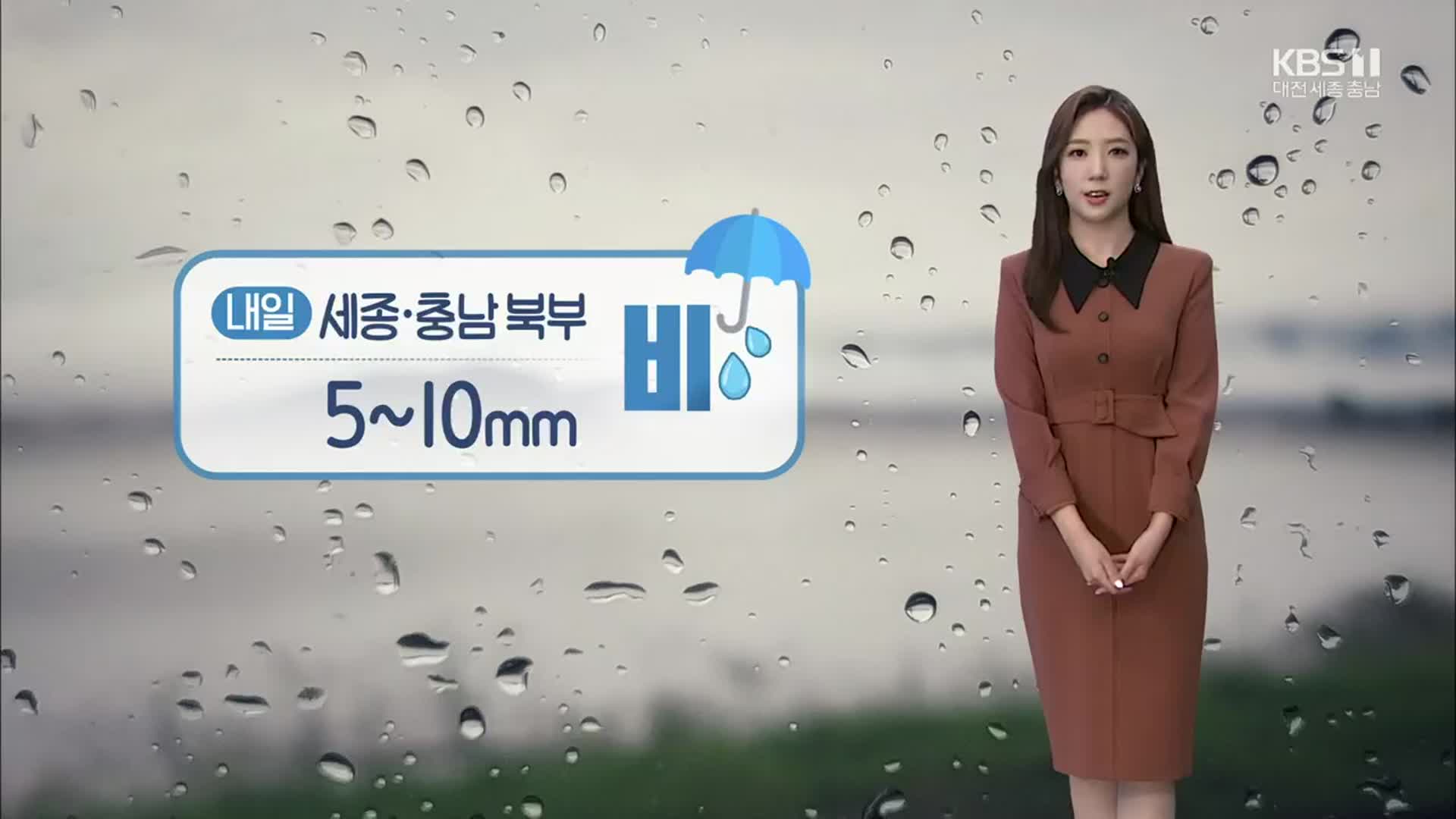 [날씨] 세종·충남 북부 내일 ‘비’…예상강수량 5~10mm