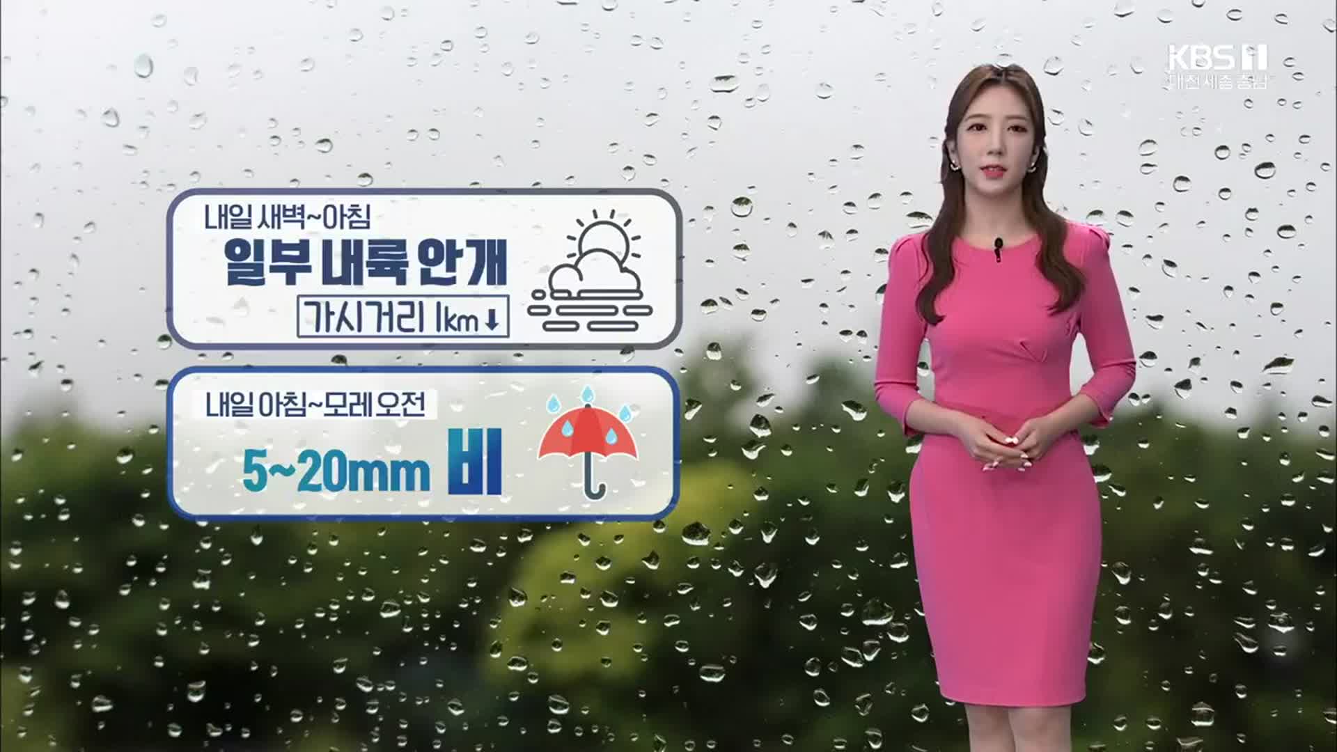 [날씨] 대전·세종·충남 내일 아침부터 5~20mm 비…일요일 첫 한파 가능성