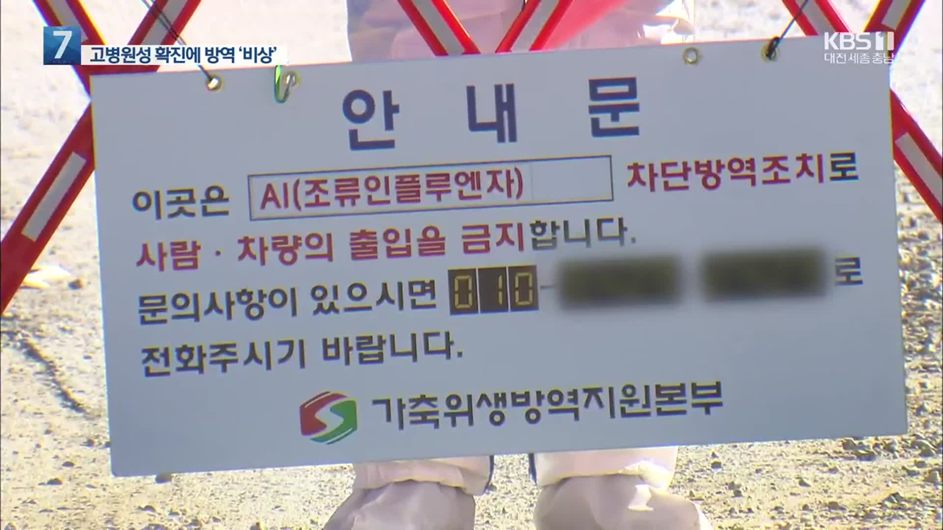 충북 음성 메추리 농장 고병원성 확진…양성 농장 추가 발생