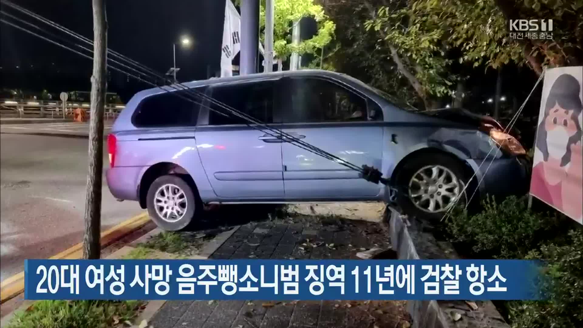 20대 여성 사망 음주뺑소니범 징역 11년에 검찰 항소