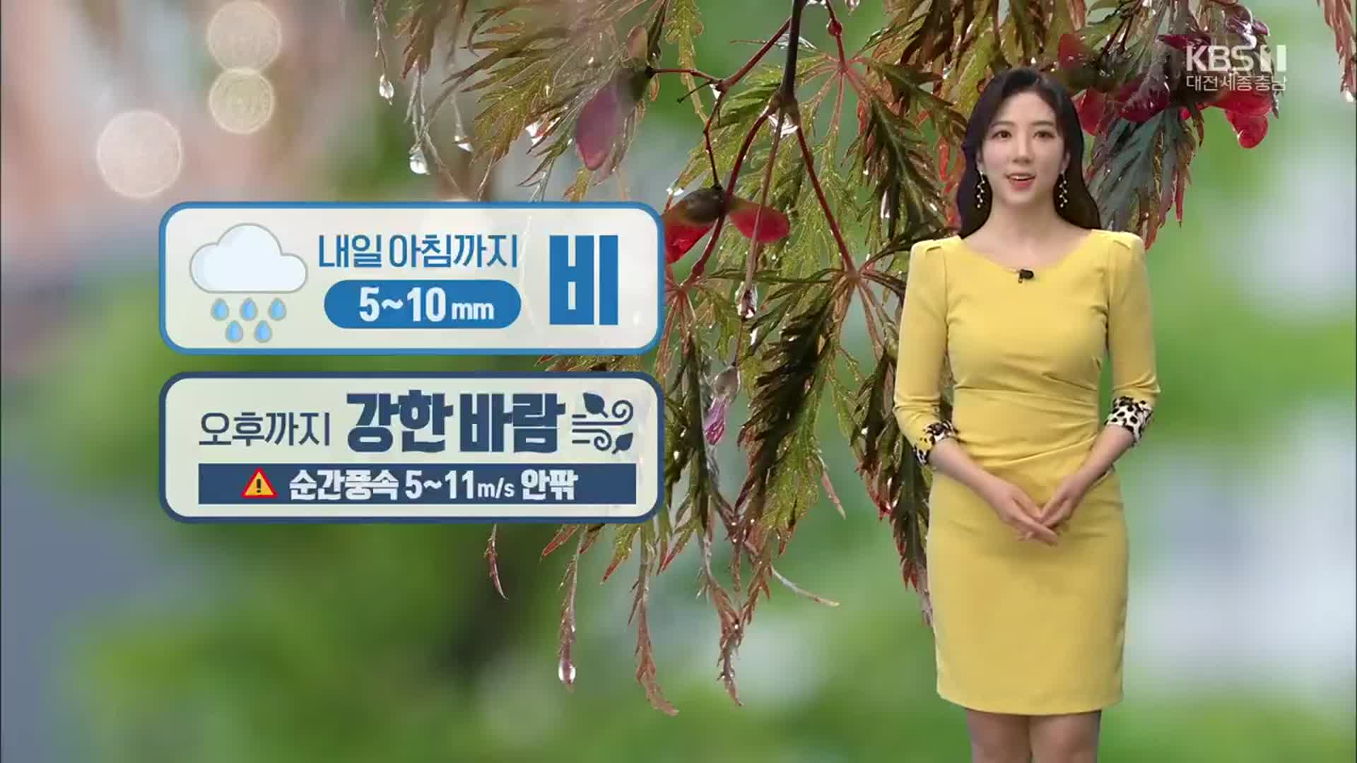 [날씨] 대전·세종·충남 내일 아침까지 비…오후까지 강풍