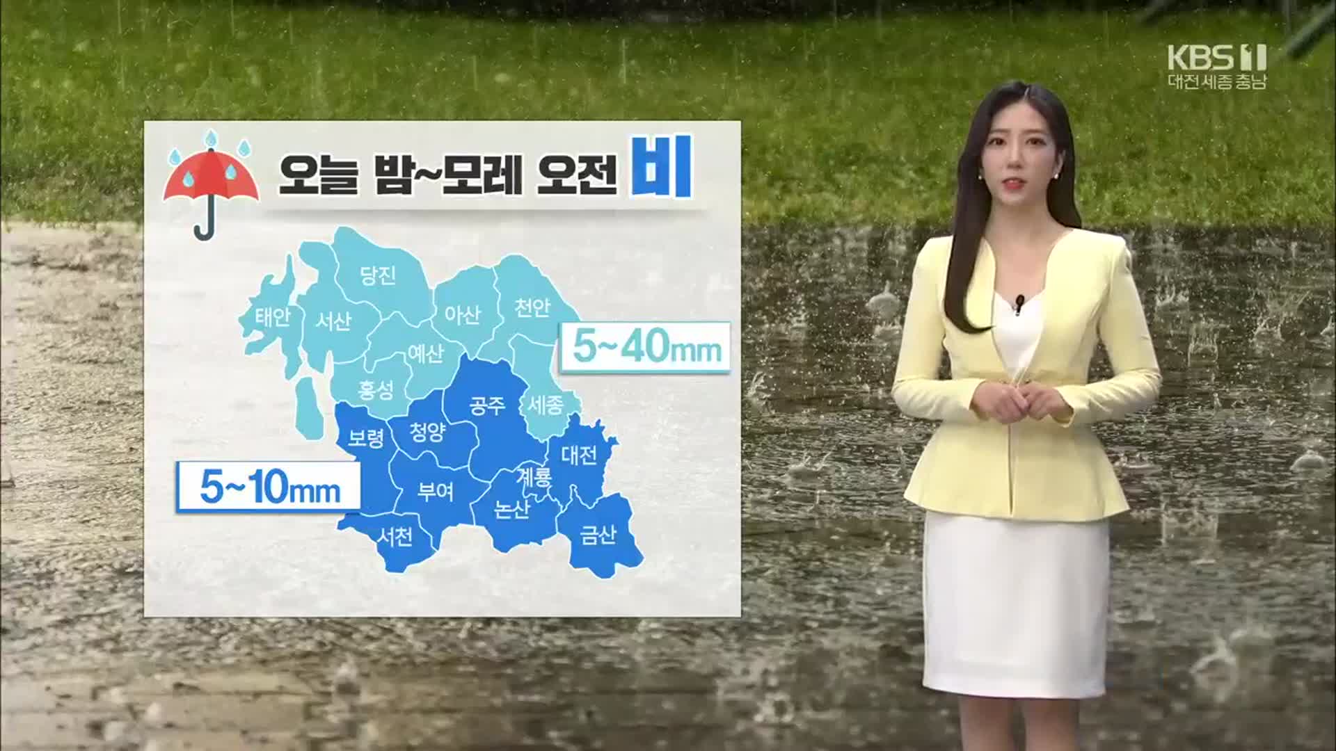 [날씨] 대전·세종·충남 내일 최대 40mm 비…오전 안개로 가시거리 1km ↓