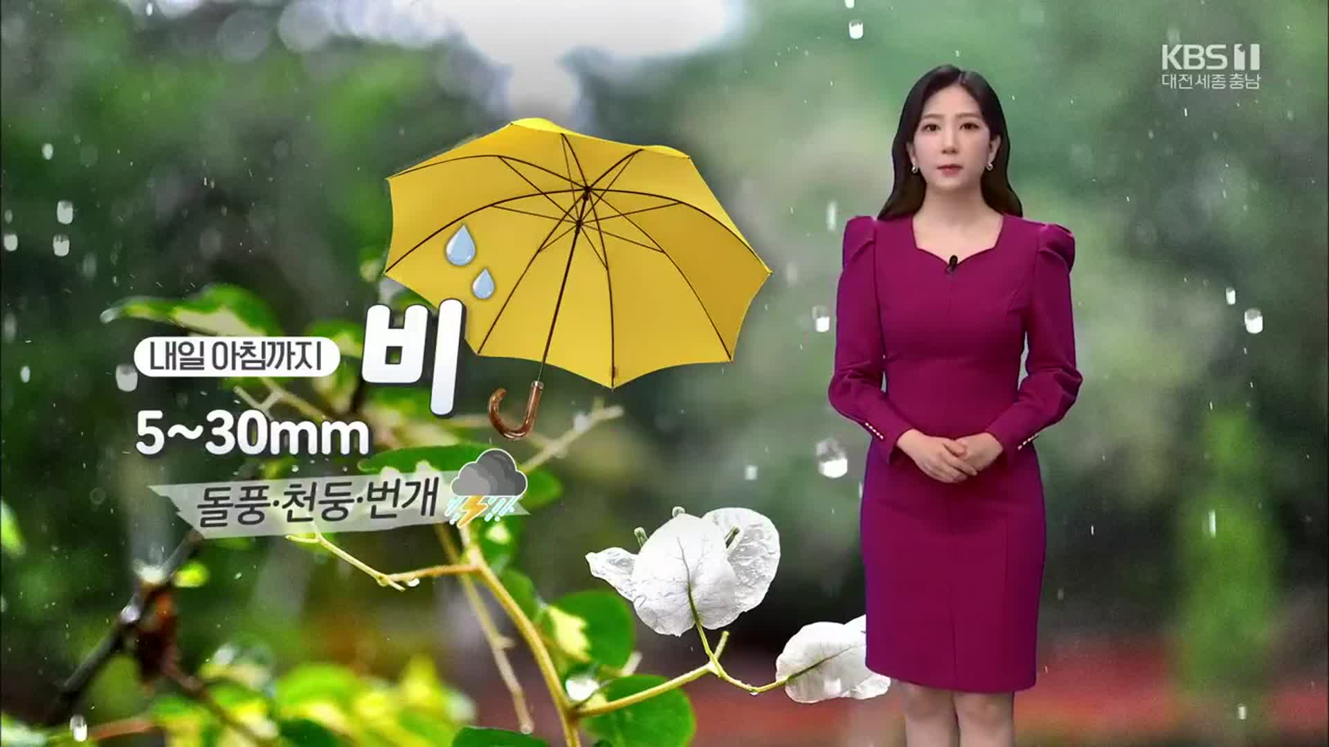 [날씨] 대전·세종·충남 봄 비 최대 30mm…낮 기온 17도 안팎