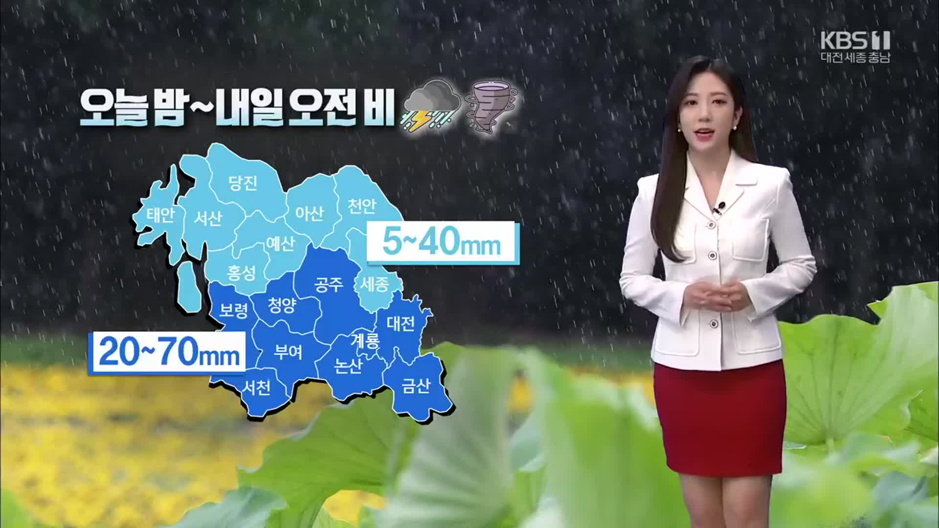 [날씨] 대전·충남 남부 최대 70mm 비…돌풍·천둥·번개 동반