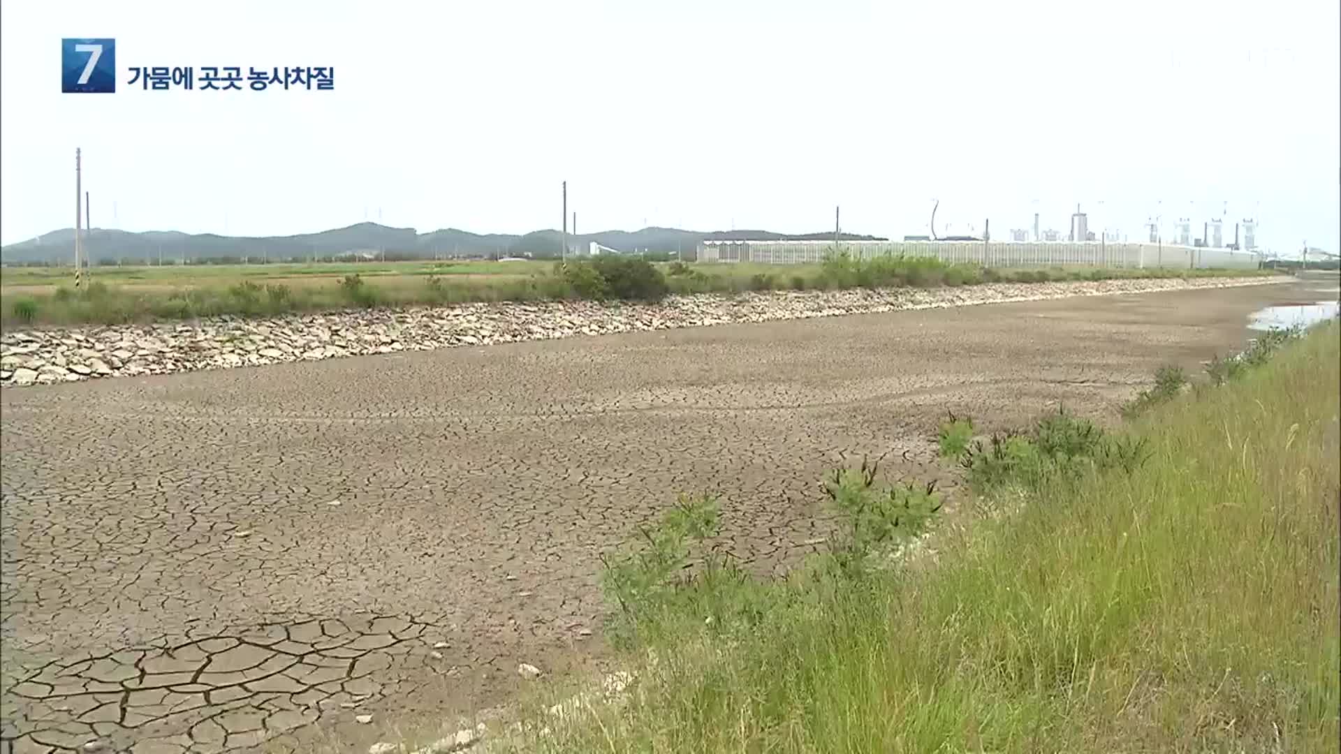 충남 5월 강수량 5.4mm…속 타는 농민