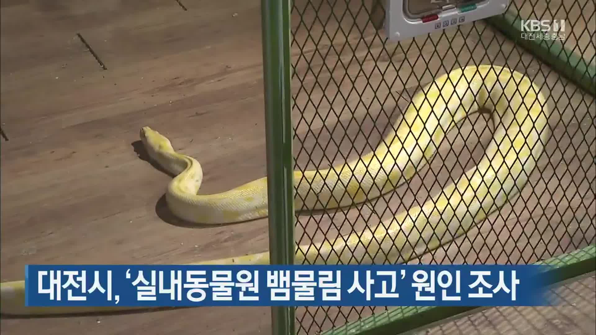 대전시, ‘실내동물원 뱀물림 사고’ 원인 조사