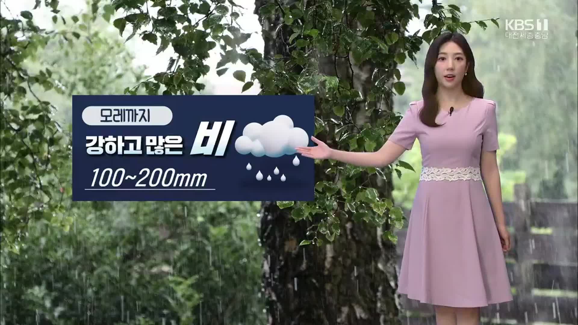 [날씨] 대전·세종·충남 모레까지 최고 200mm 비…‘호우예비특보’ 발효