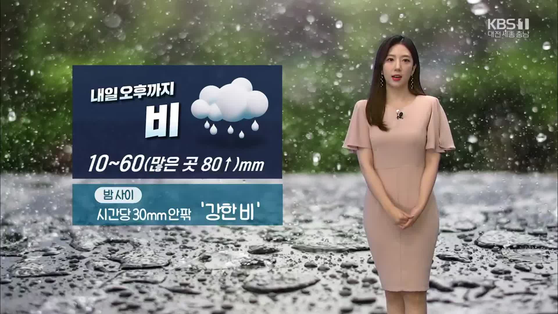 [날씨] 대전·세종·충남 폭염 속 장맛비…내일까지 최고 80mm↑