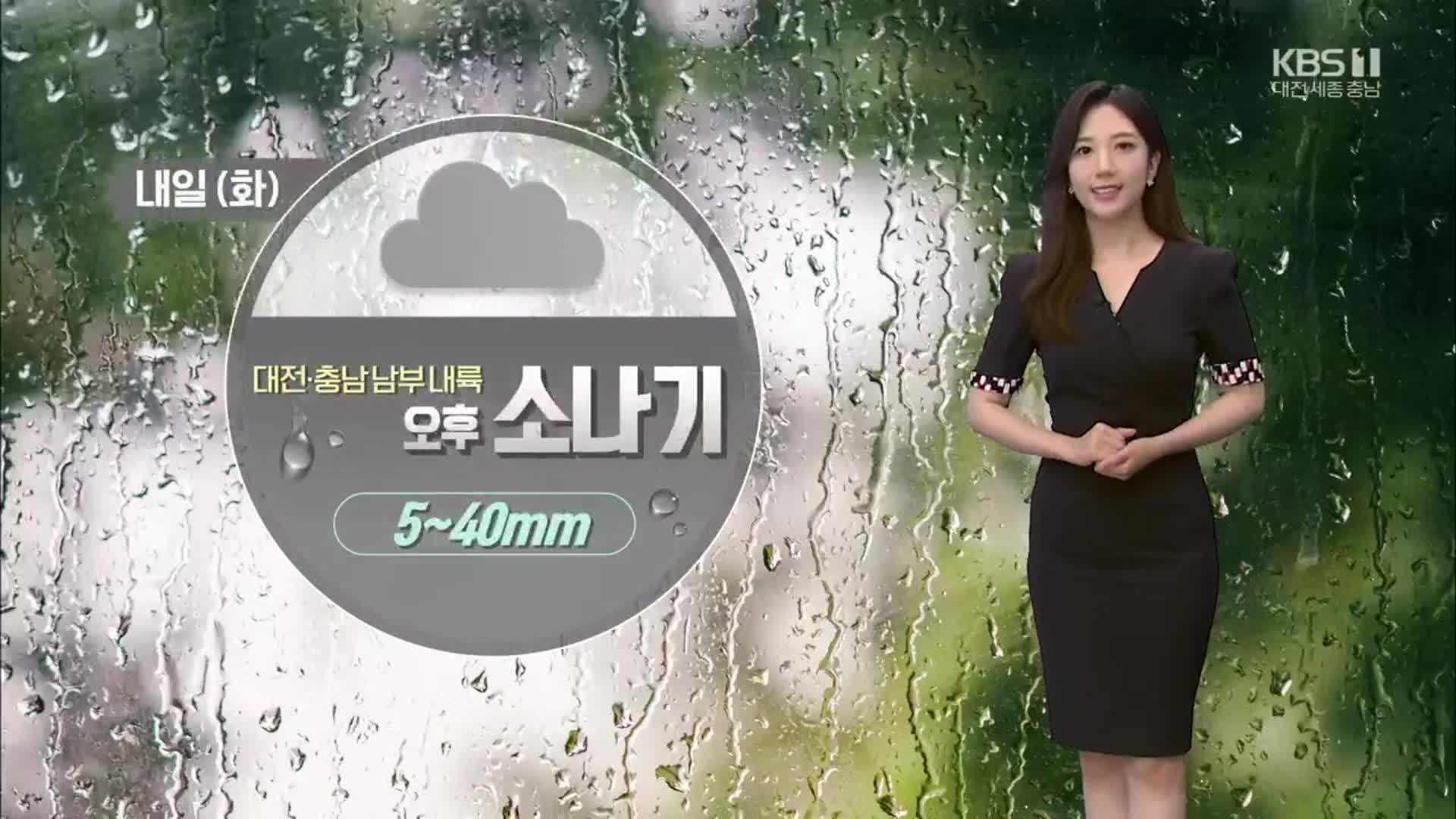 [날씨] 내일 오후 대전·충남 남부 내륙 ‘소나기’…예상 강수량 5~40mm