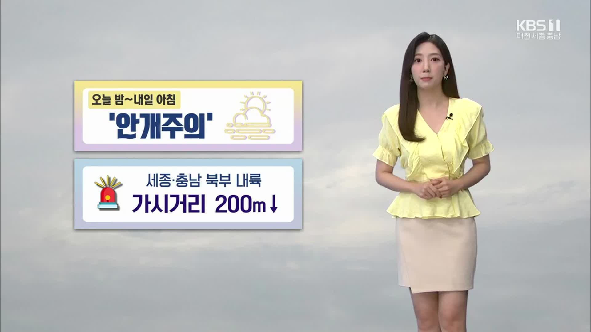 [날씨] 대전·세종·충남 내일 아침까지 ‘짙은 안개’ 주의…가시거리 200m↓