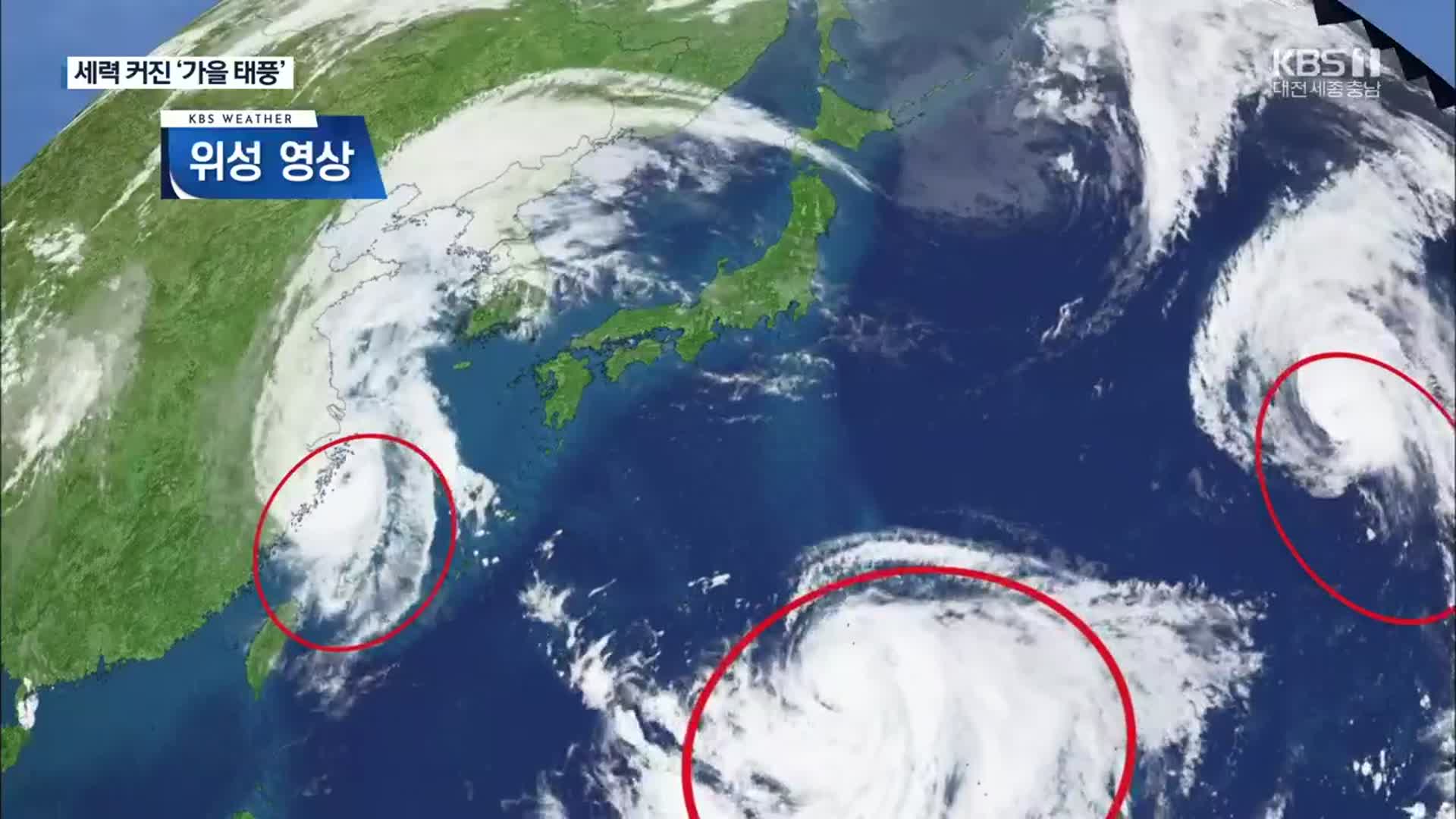일주일에 태풍 3개…가을 태풍 세력 커졌다