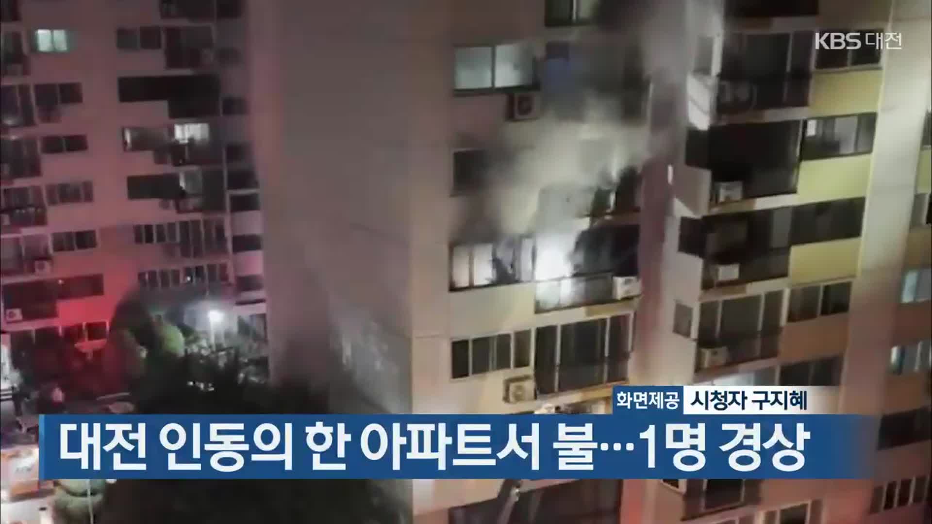 대전 인동의 한 아파트서 불…1명 경상