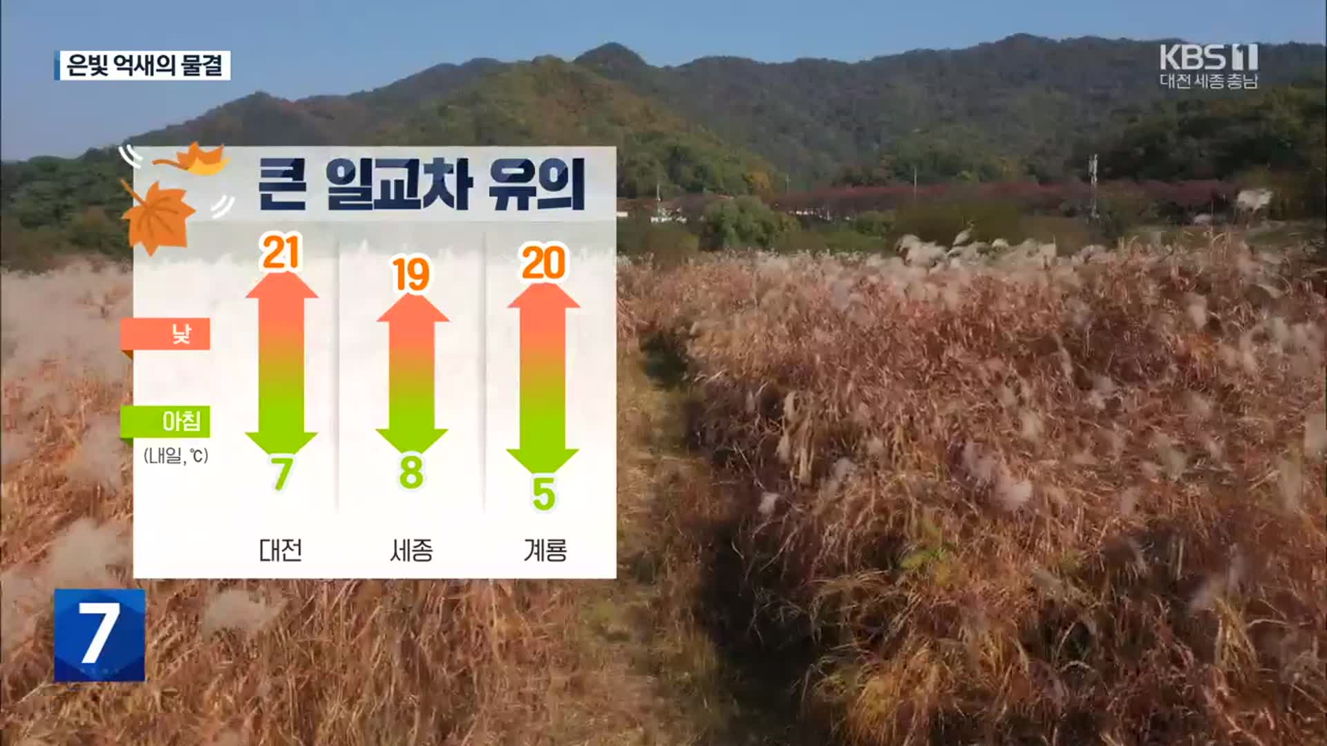 [날씨] 대전·세종·충남 내일도 맑고 큰 일교차…은빛 억새 절정