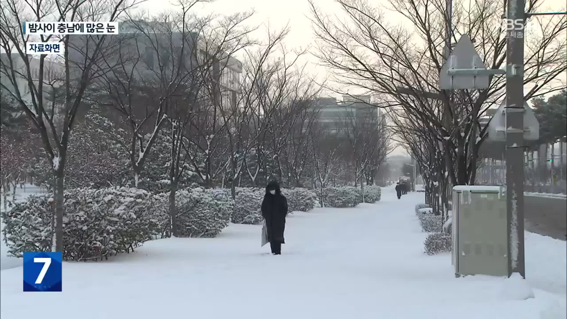 충청권 한파에 많은 눈…내일까지 최대 10cm