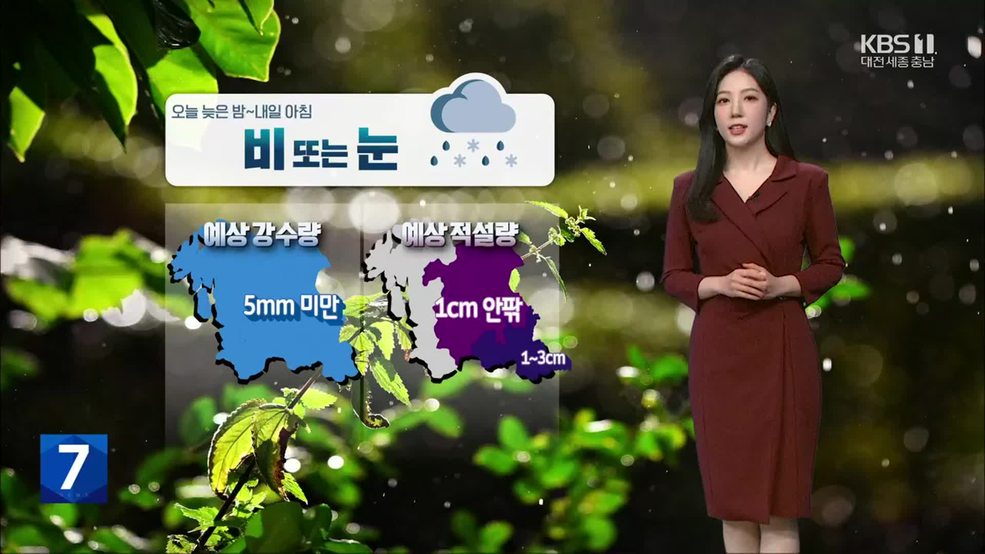 [날씨] 대전·세종·충남 밤부터 비·눈…내일도 예년보다 온화