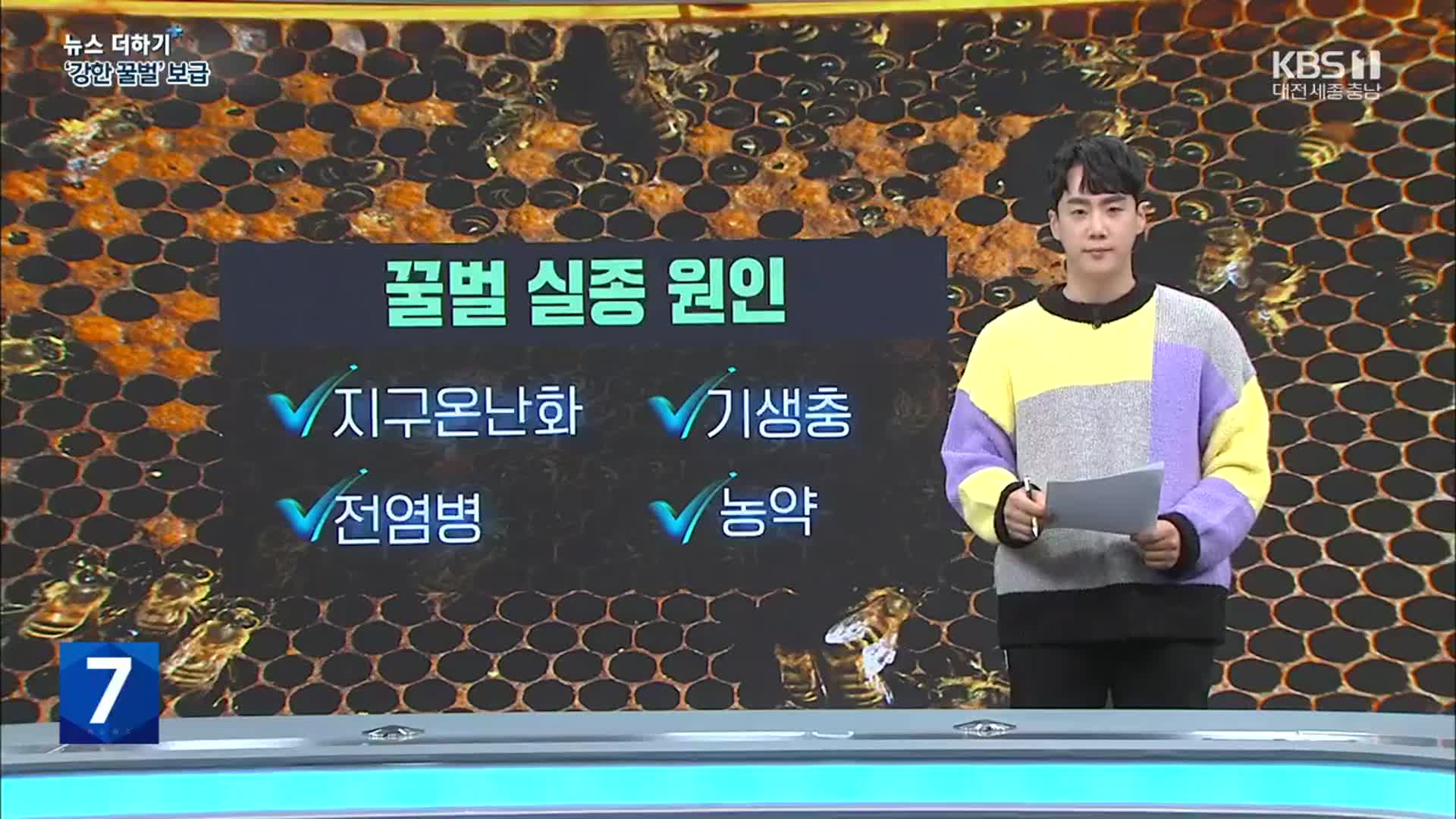 [뉴스 더하기] 올해도 꿀벌 ‘집단 실종’…‘강한 벌’이 해결?