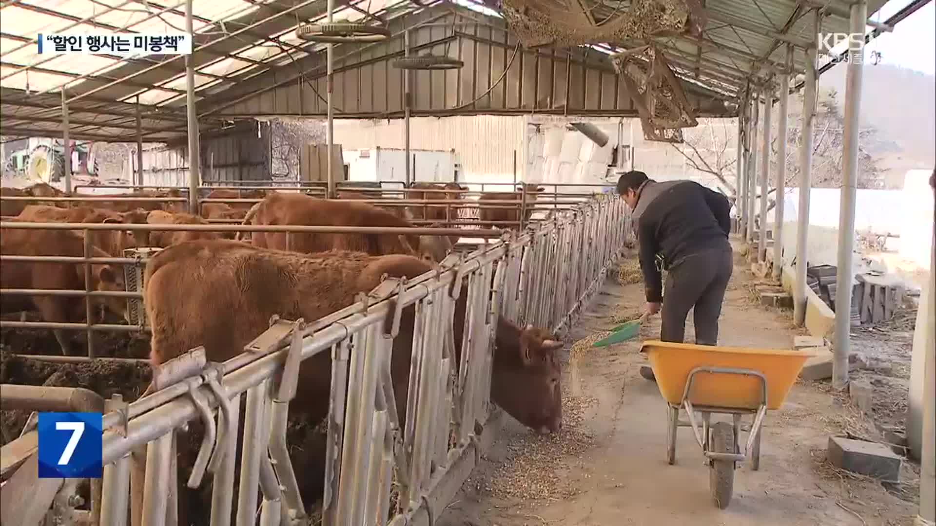 ‘반값 한우’에 소비자 몰리는데…농가는 막막